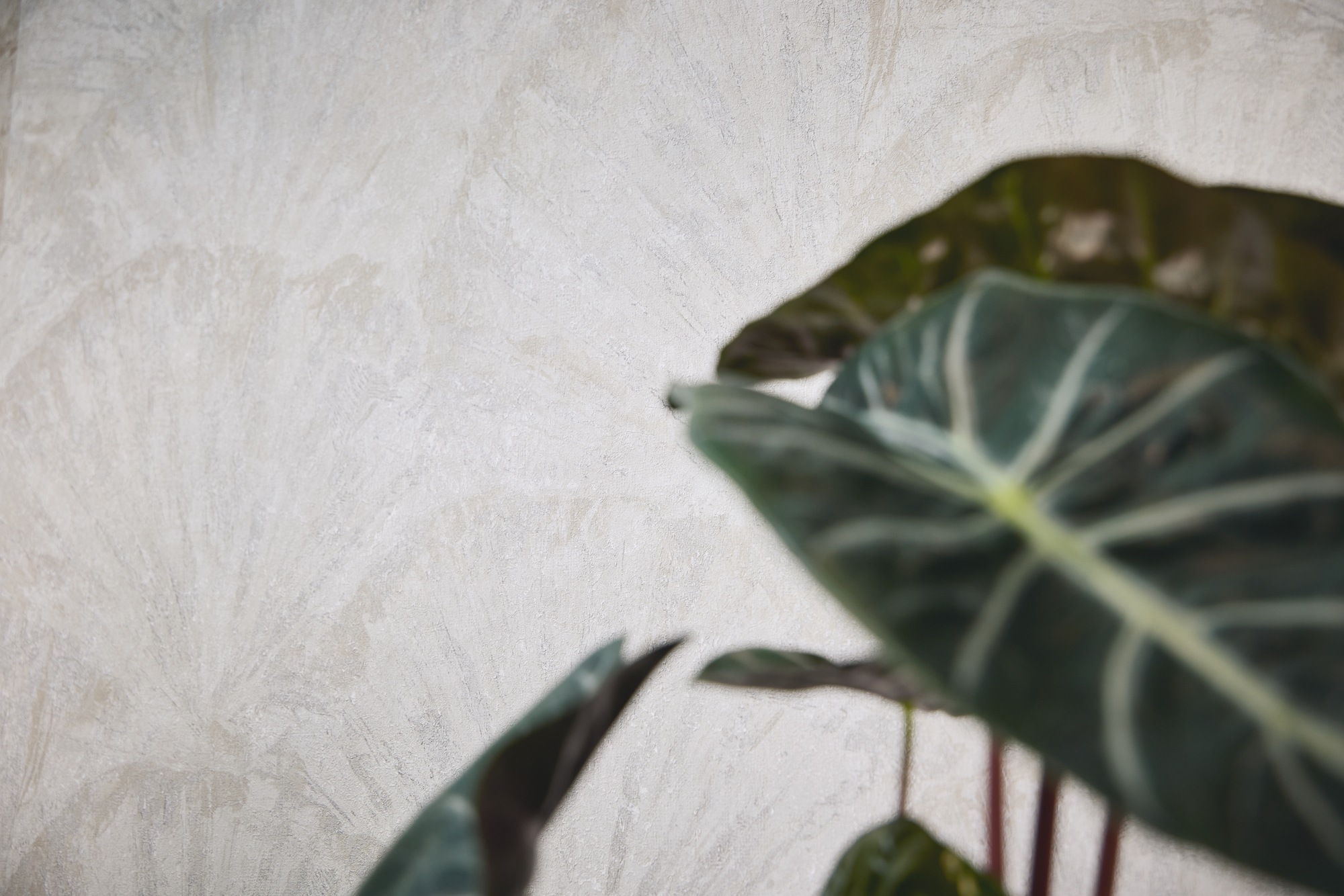 living walls Vliestapete »Abstrakte strukturierte Vliestapete diverse Farben« 3D-Optik strukturiert