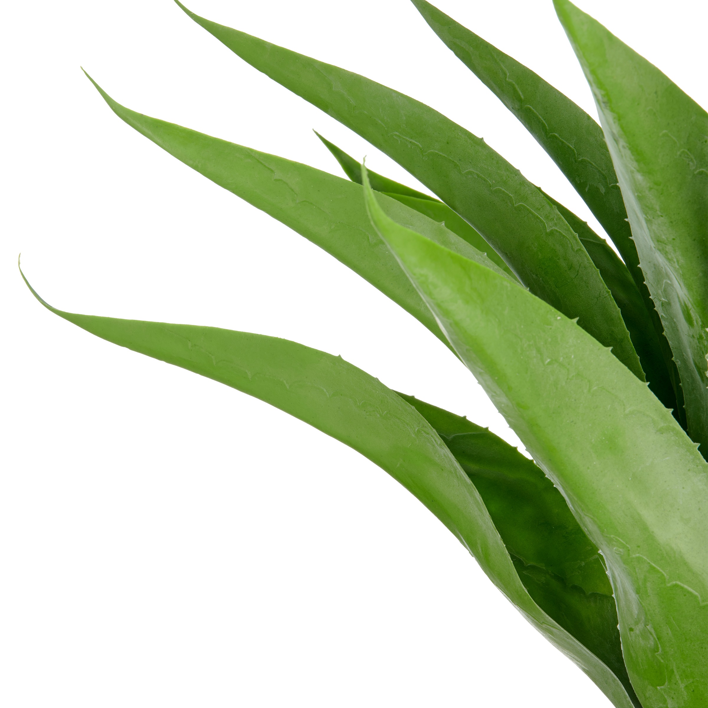 Creativ green Kunstpflanze "Agave", mit 17 Agavenblättern günstig online kaufen