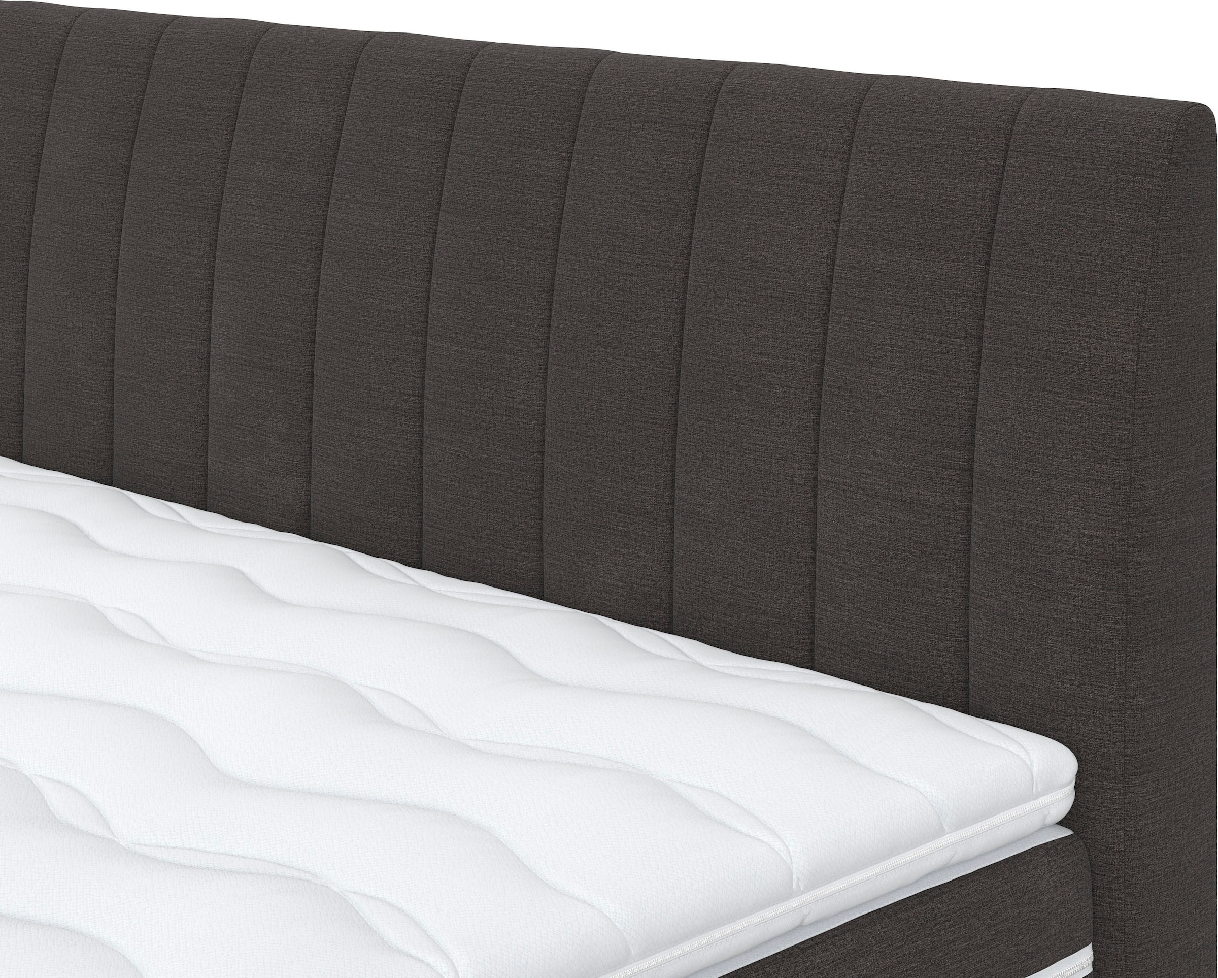 COTTA Boxspringbett »Shark inkl. Bettkasten und Topper«, erhältlich in den Breiten 140x200cm, 160x200cm und 180x200cm