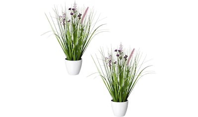 Creativ green Kunstgras »Blüten-Gras-Mix«, (2 St.), in weißer Kunststoffschale kaufen