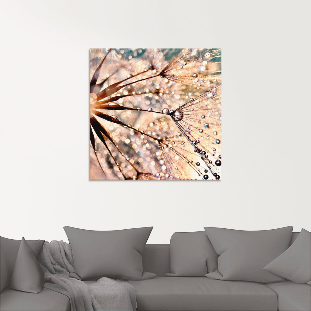 Artland Glasbild »Pusteblume - Kisses from rain«, Blumen, (1 St.)