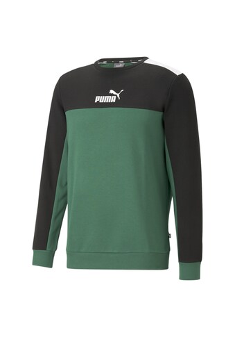 PUMA Sweater »Essentials+ Block Sweatshirt mit Rundhalsausschnitt Herren« kaufen