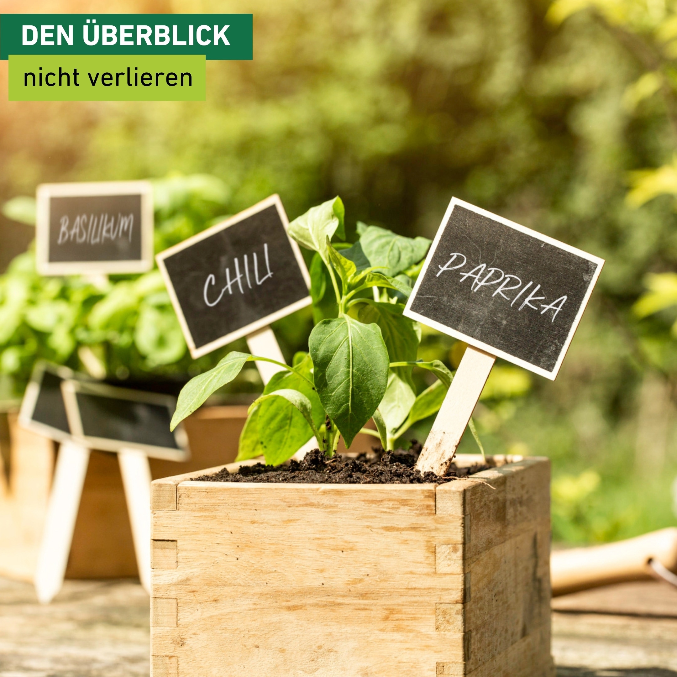Windhager Gartenstecker »inklusive Kreidetafel, Pflanzenschilder 10 Stk.« Stecketiketten für Gemüse oder Kräutergarten, 7,5 x 17,5 cm, Holz