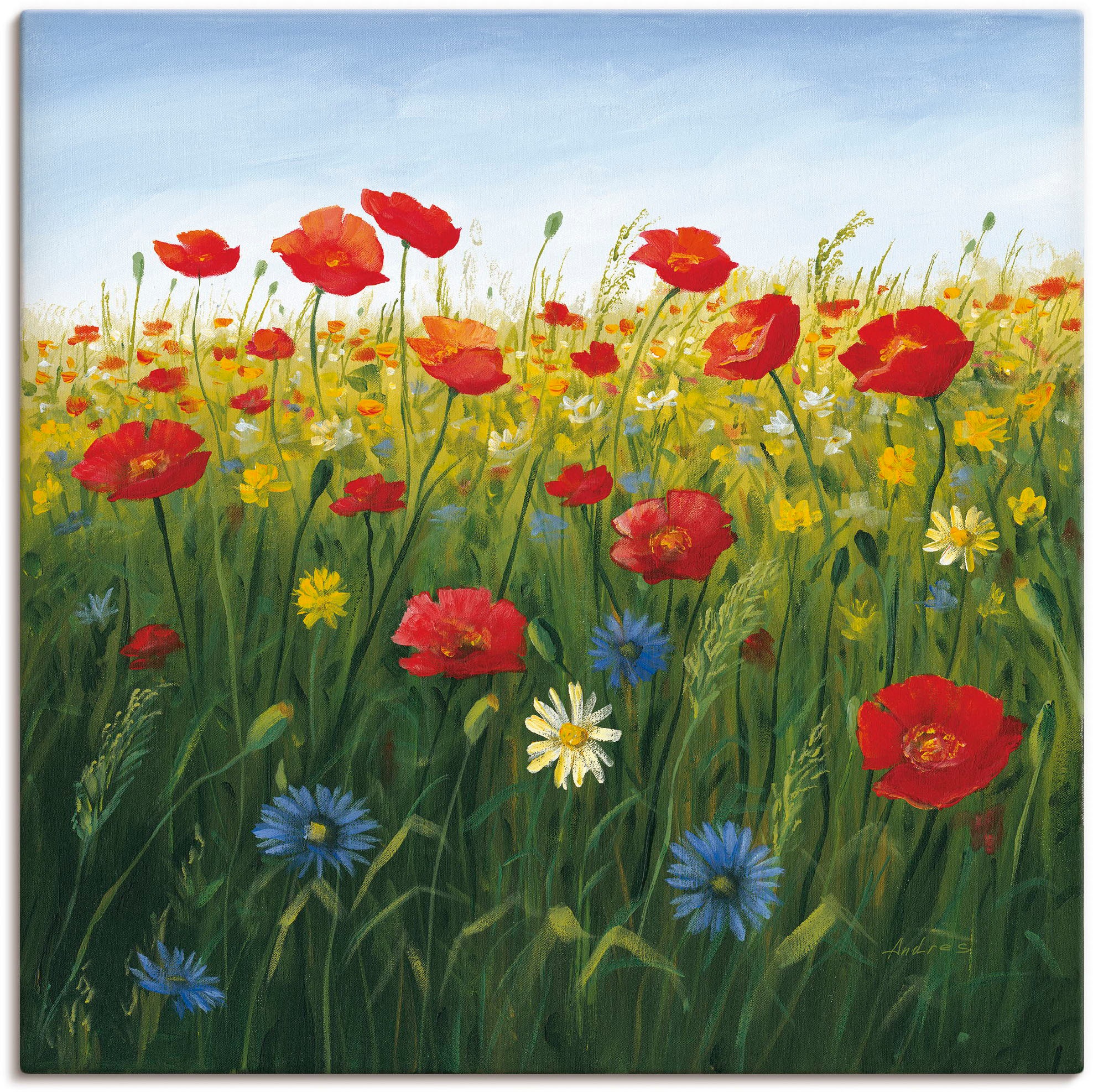 als | Alubild, BAUR I«, Größen Poster St.), (1 Landschaft Artland »Mohnblumen Wandaufkleber Leinwandbild, in oder versch. Wandbild Blumenwiese, kaufen