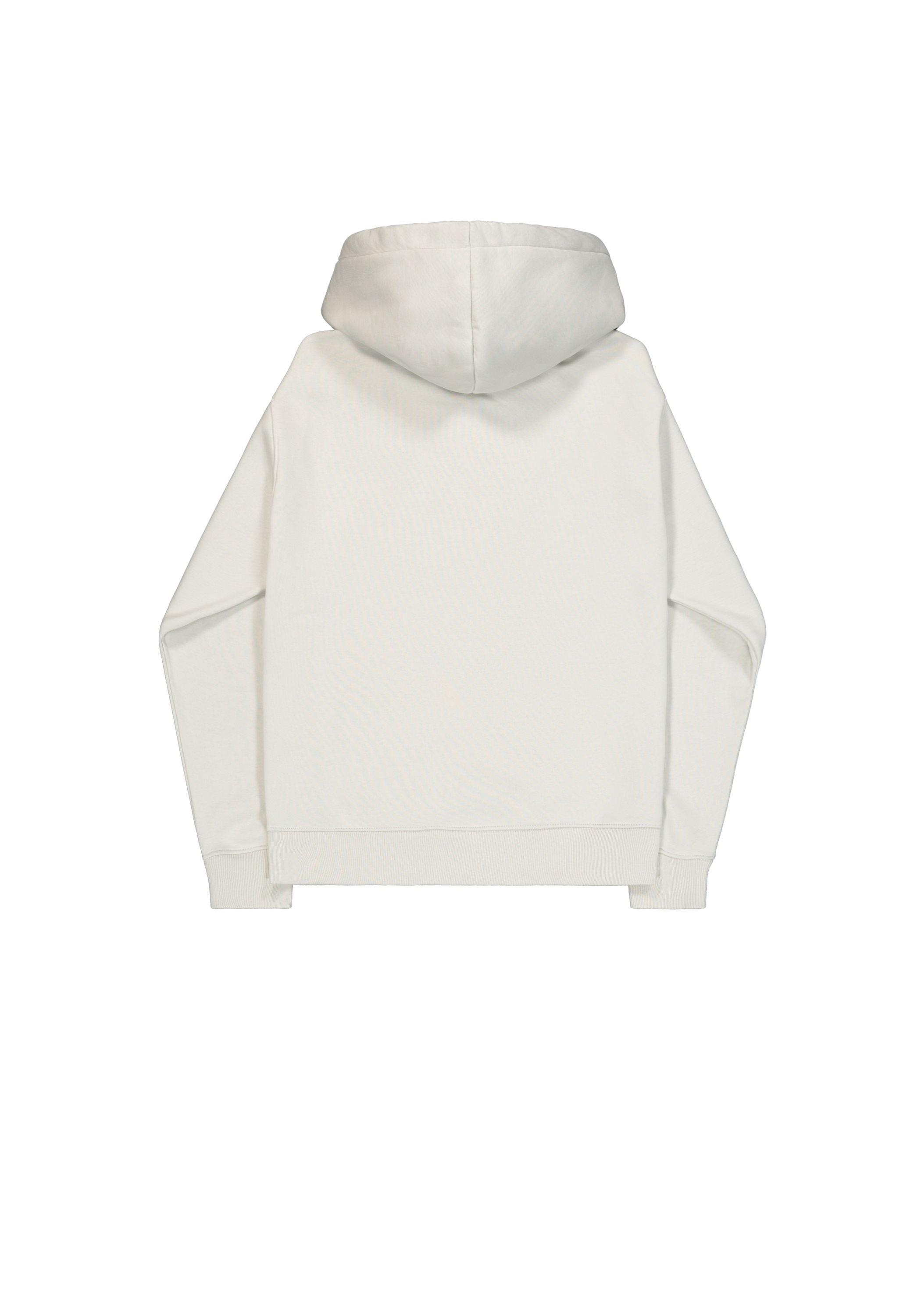 Alpha Industries Hoodie »Basic Hoodie BL Effect Print«

