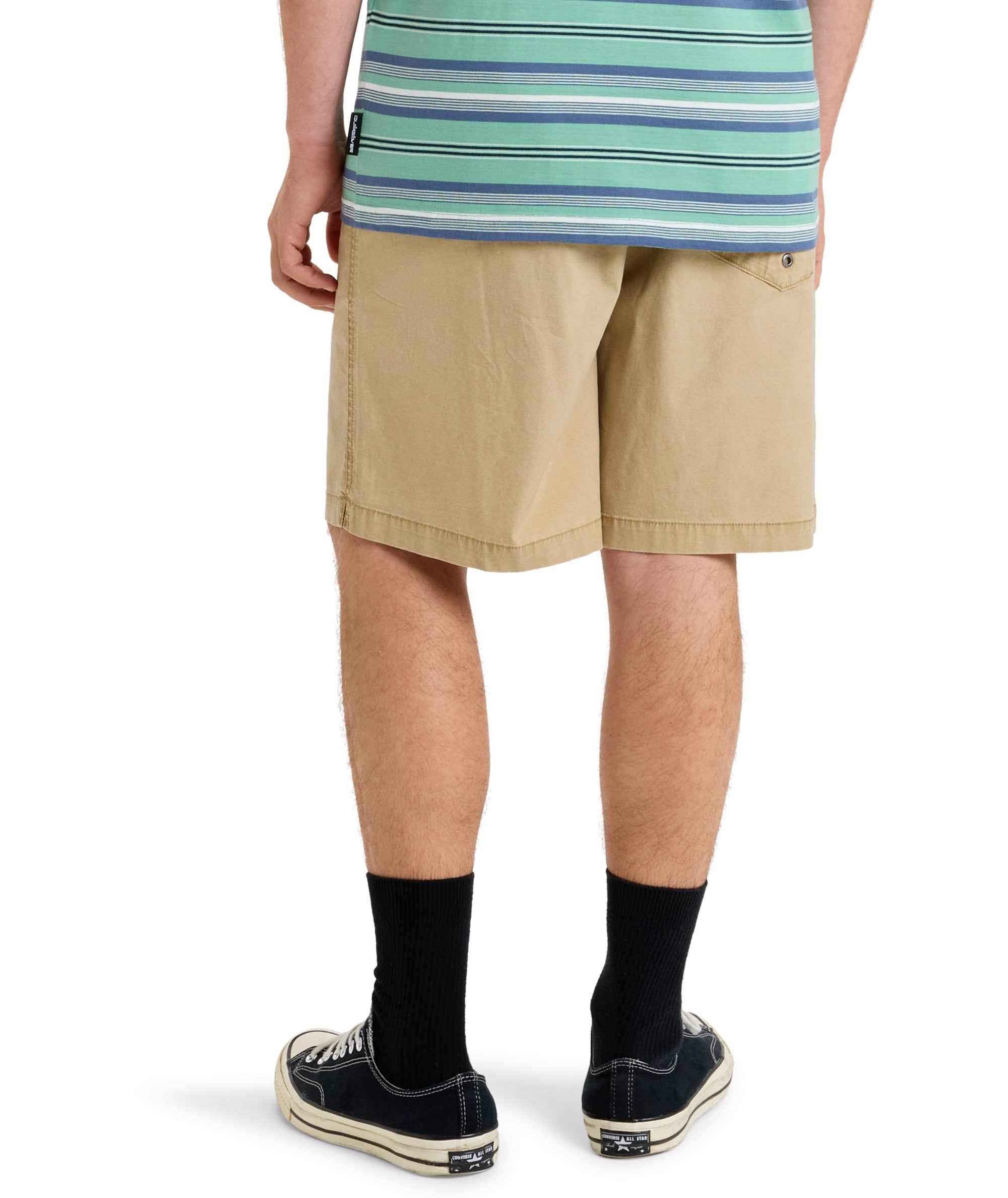 Quiksilver Shorts »TAXER WS«