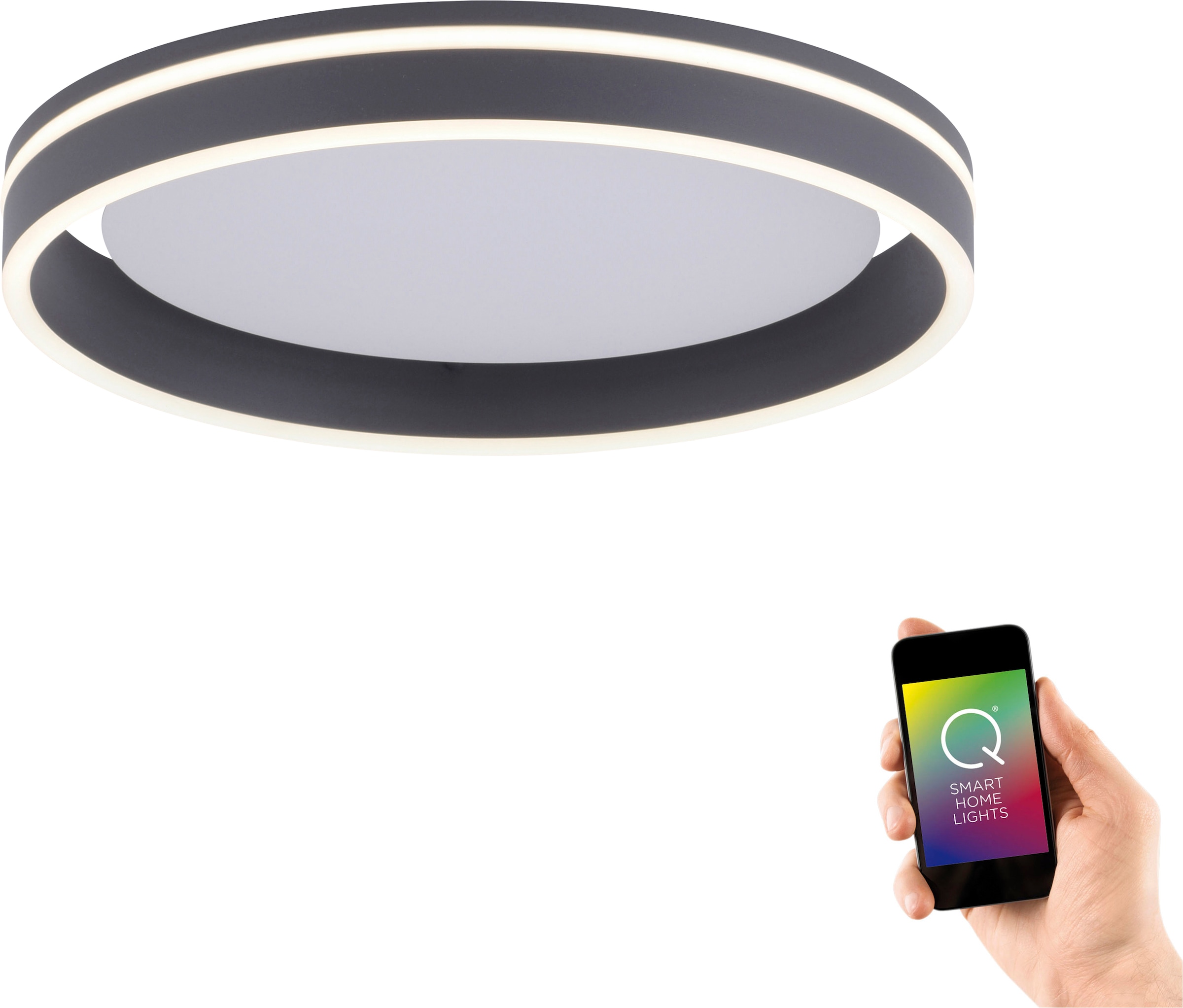 Neuhaus Q SMART HOME LIGHTS LED Deckenleuchte »Q-VITO« LED-Board 1 Stk. warmweiß - kaltweiß