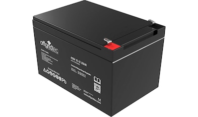 Akku »AGM-Batterie 12V/12Ah 20HR«, 12 V