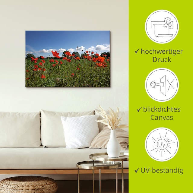 Artland Wandbild »Mohnblumen«, Blumenwiese, (1 St.), als Alubild,  Leinwandbild, Wandaufkleber oder Poster in versch. Größen bestellen | BAUR