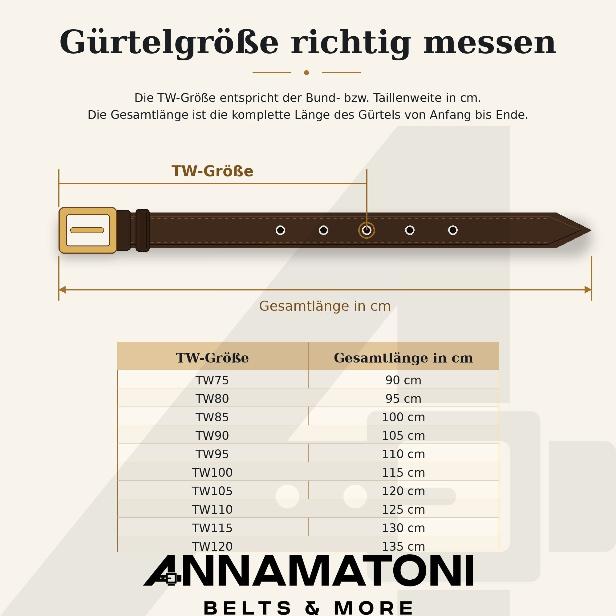 AnnaMatoni Ledergürtel »AnnaMatoni AnnaMatoni Damen Ledergürtel 2,5 cm breit mit«