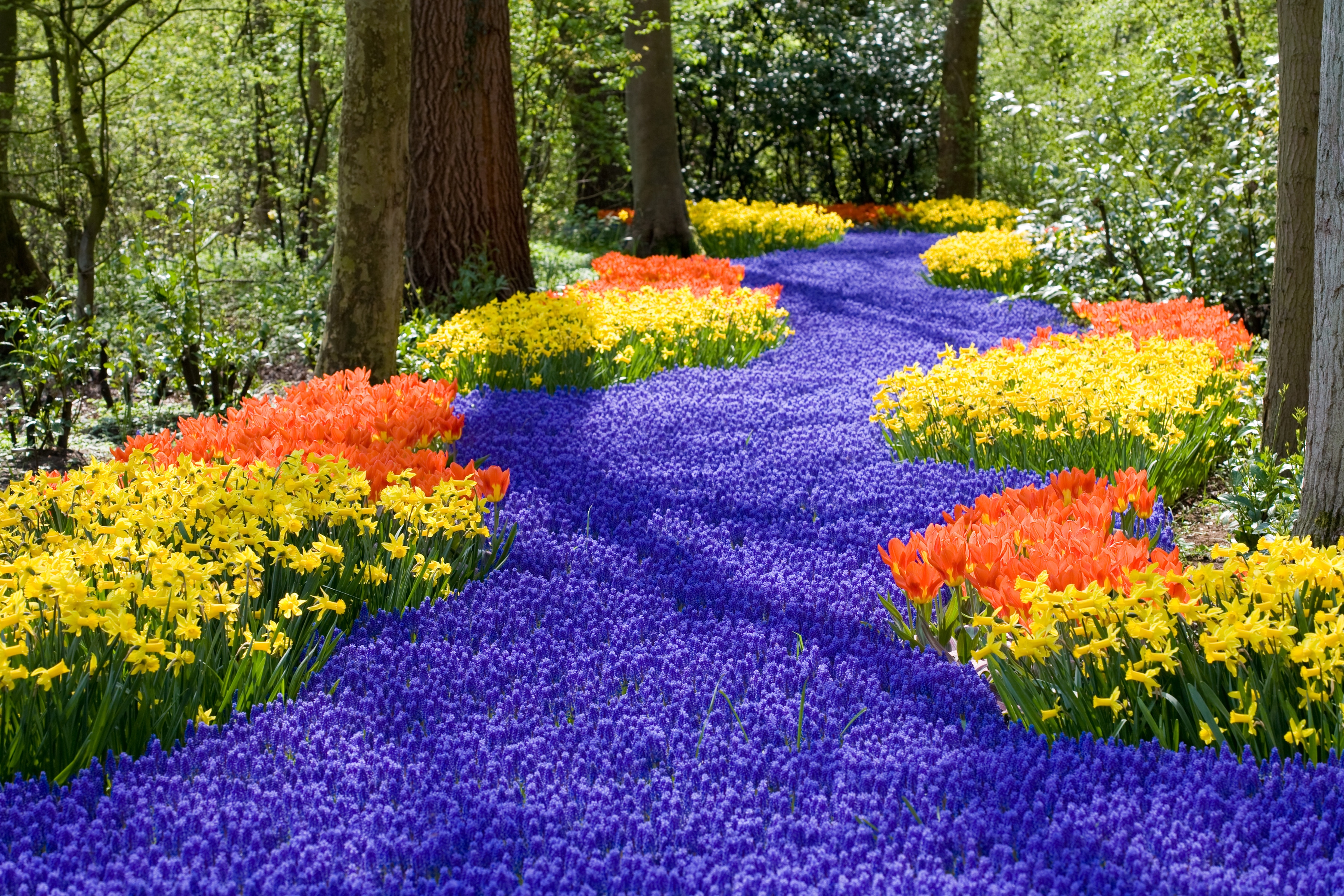 Papermoon Fototapete "Spring Flowers" glatt