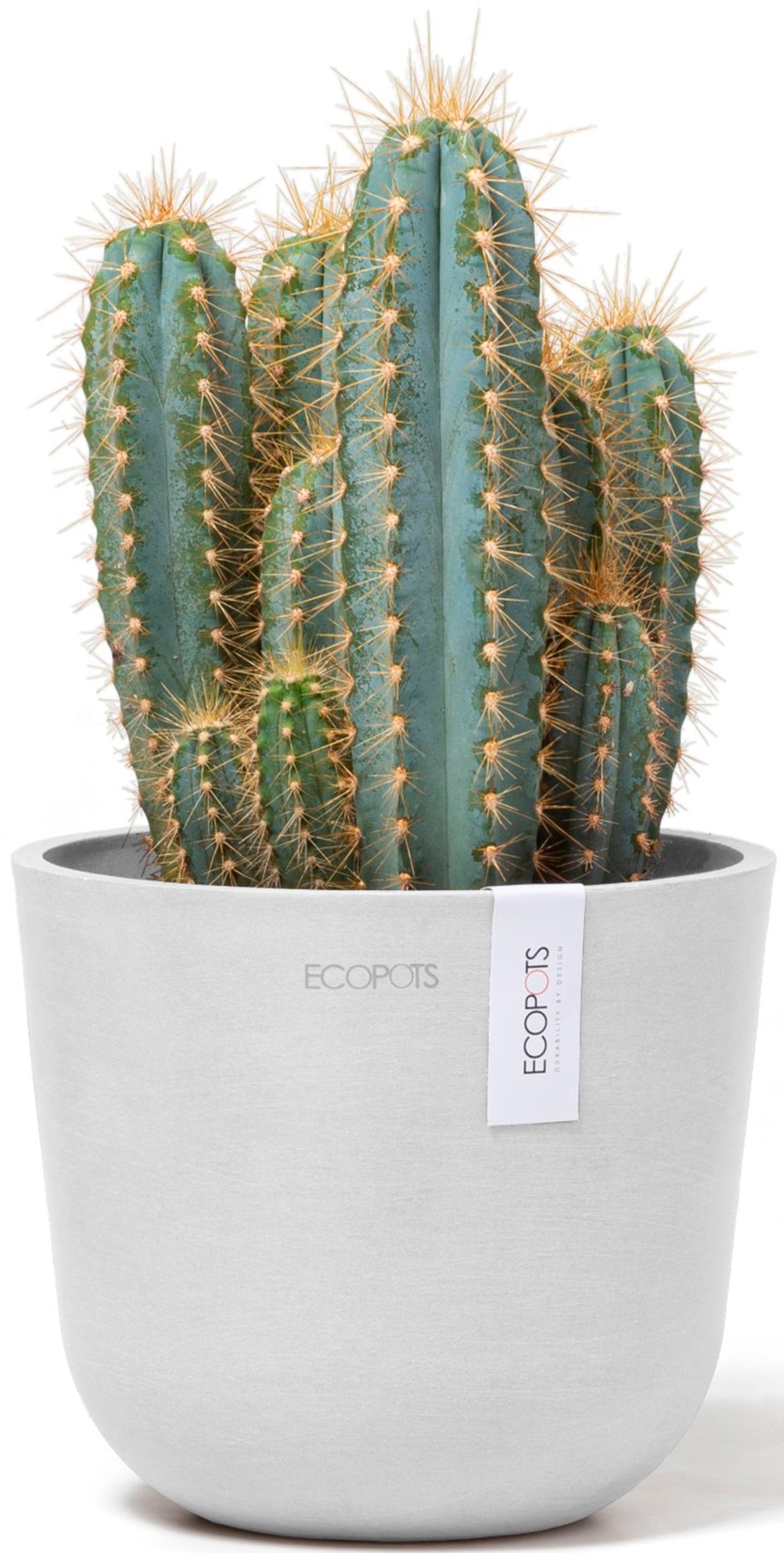 ECOPOTS Blumentopf »Oslo Mini 16 Weiß«, für den Innenbereich
