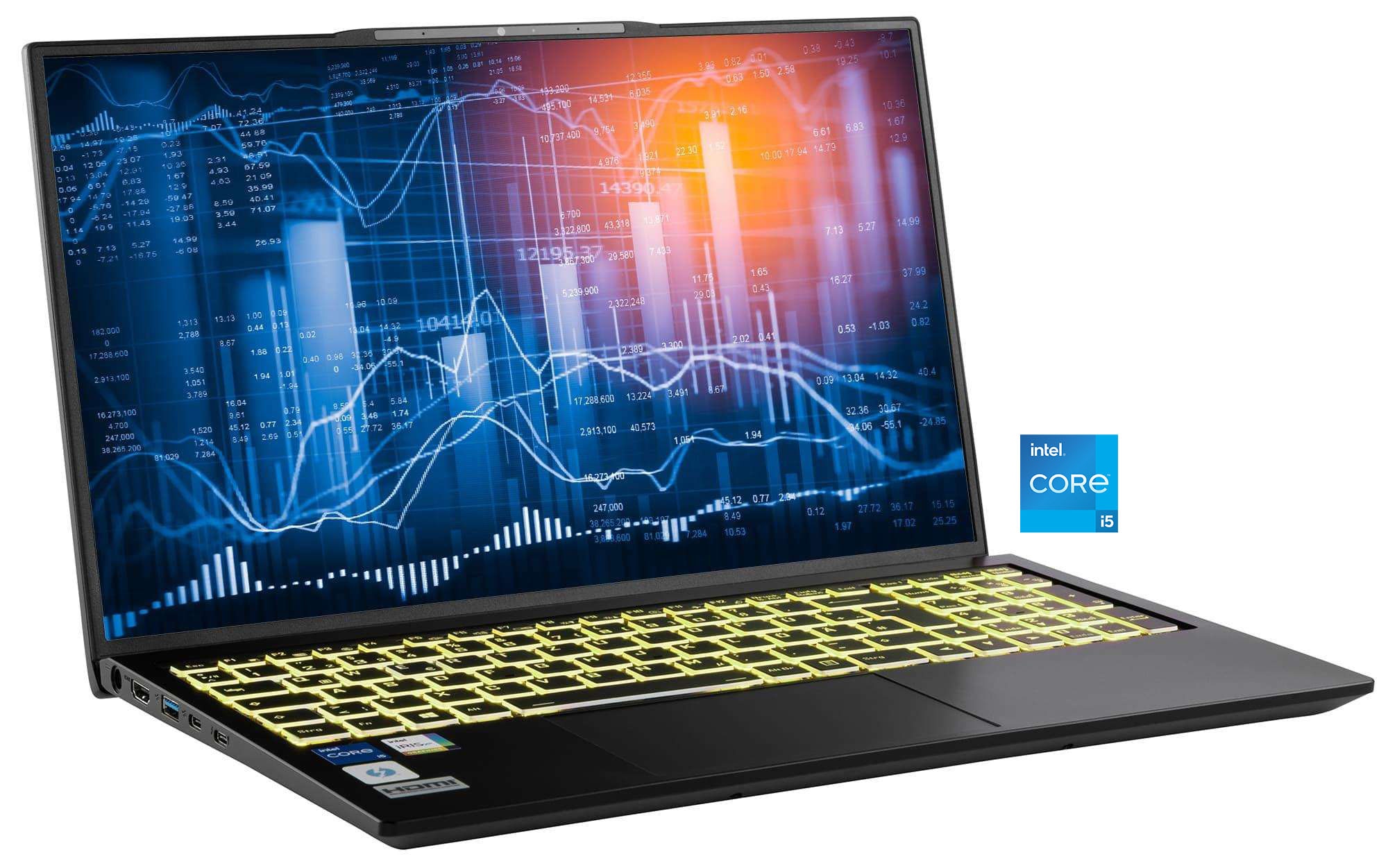 "CAPTIVA Business-Notebook ""Business/Office I10-1440GE"", schwarz (silberfarben), 64 GB RAM 1.000 GB SSD, Core i5, Microsoft Windows 11 Home (64