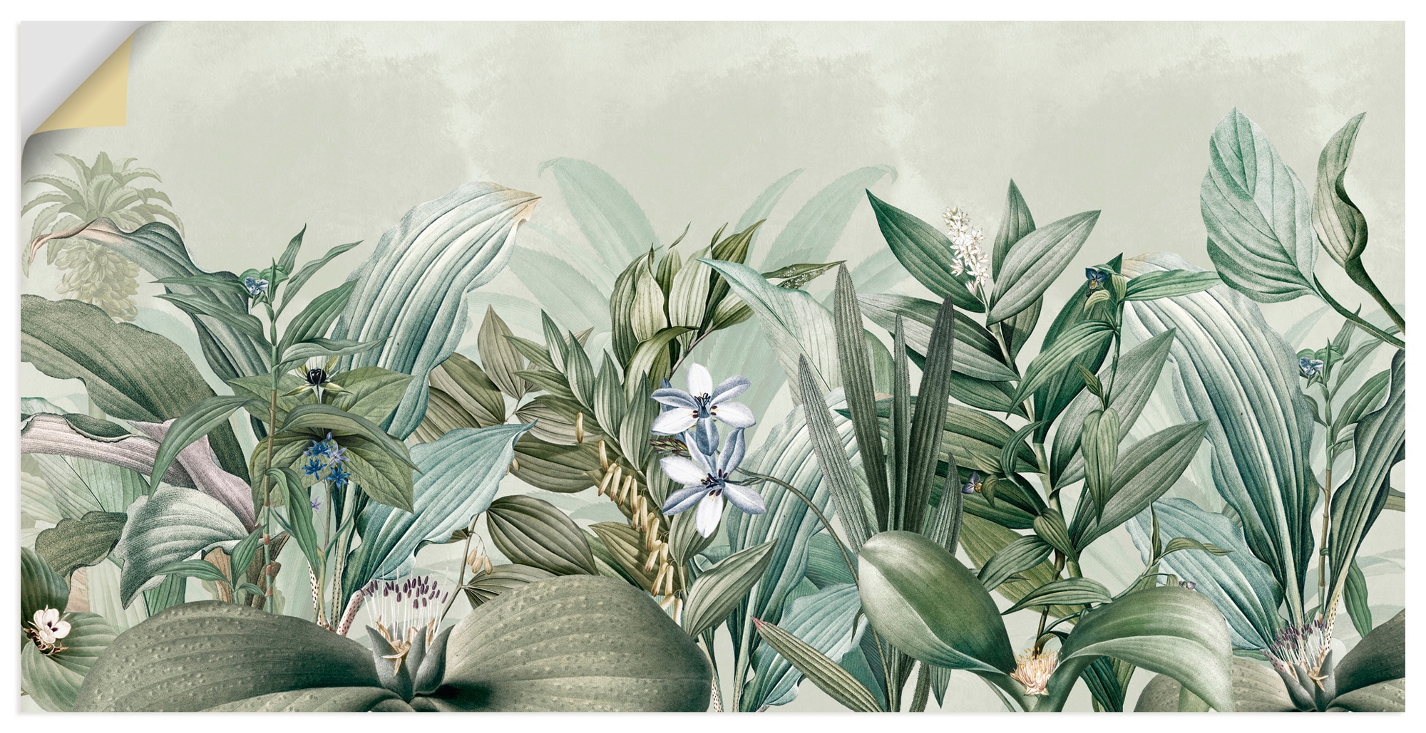 Wandbild ARTLAND "Exotischer Floral Garten Landschaft", farbe bild(er): grün, B:40cm H:20cm, Bilder, als Alubild, Leinwandbild, Poster, Wandaufkleber in verschied. Größen
