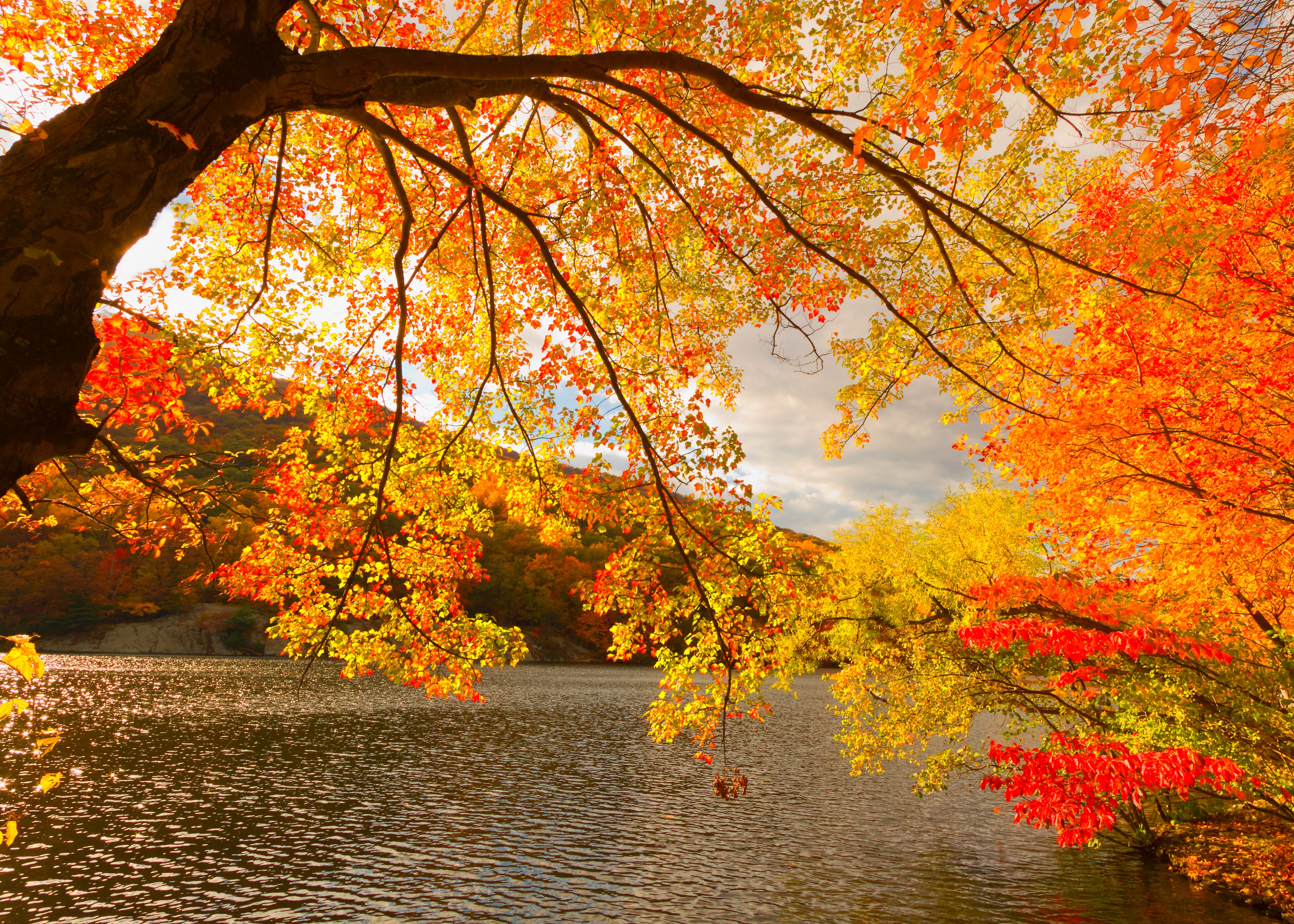 Papermoon Fototapete "Autumn Scenery" glatt