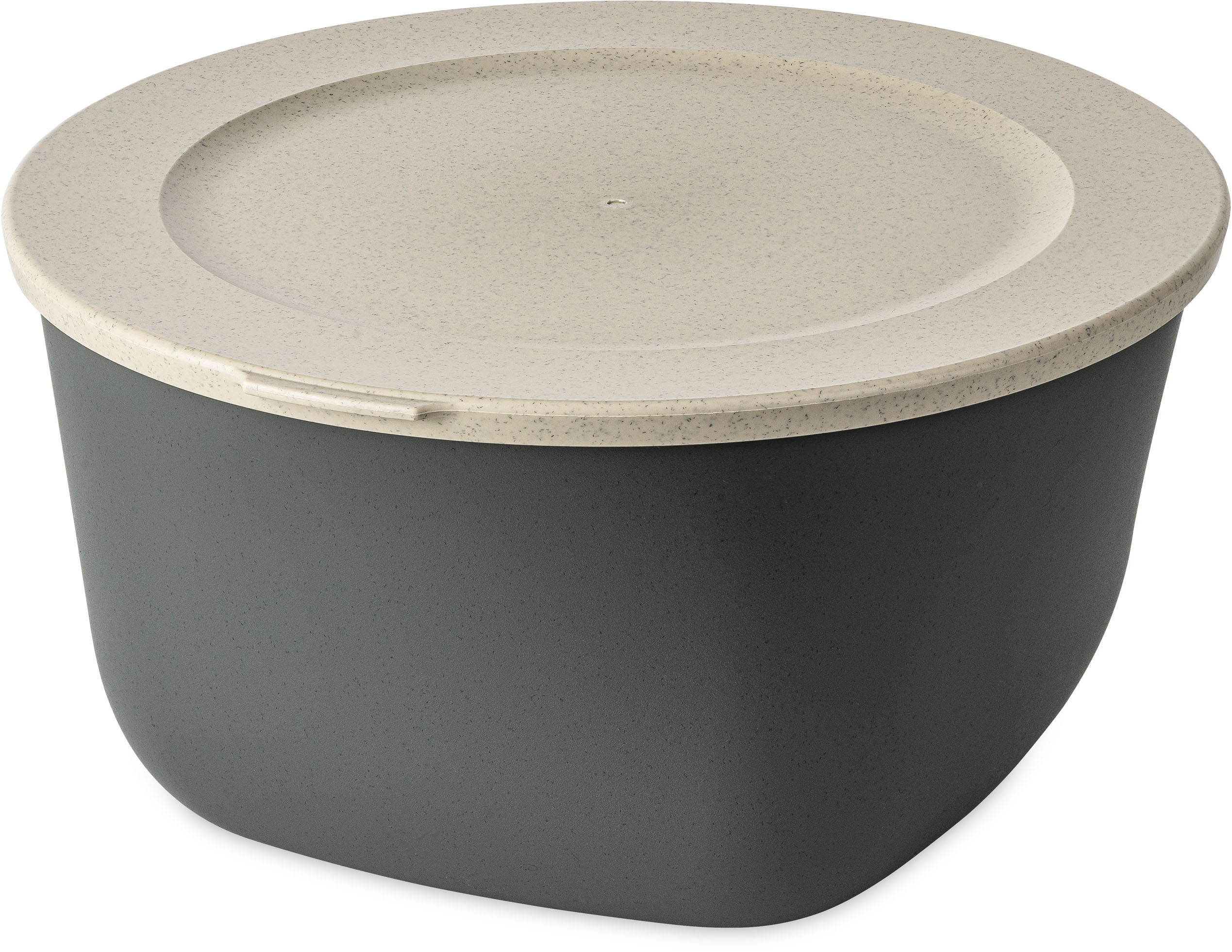 KOZIOL Aufbewahrungsschüssel "CONNECT BOX 4" spülmaschinengeeignet, melaminfrei, CO² neutrale Produktion, 4 L