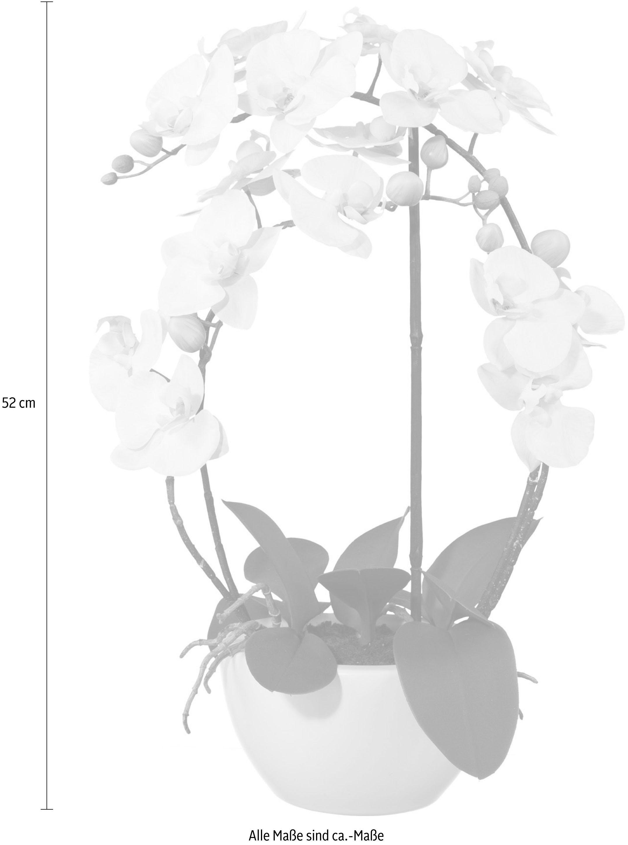 Creativ green Kunstpflanze "Phalaenopsis" günstig online kaufen