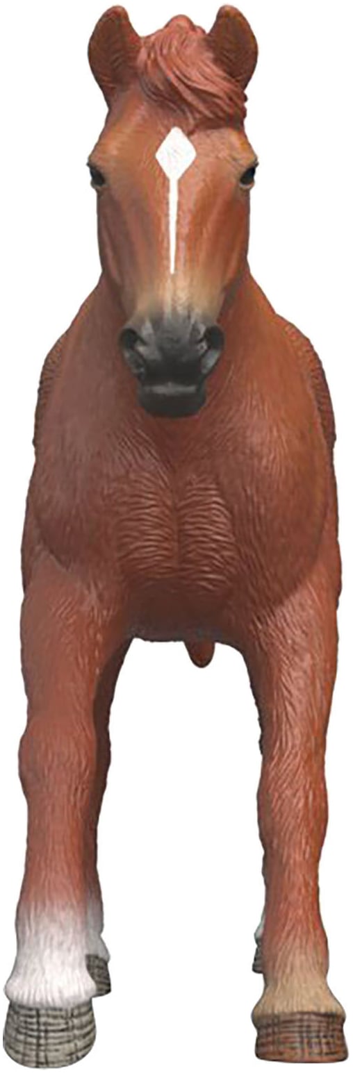 Schleich® Spielfigur »HORSE CLUB, Englisches Vollblut Hengst (14915)«