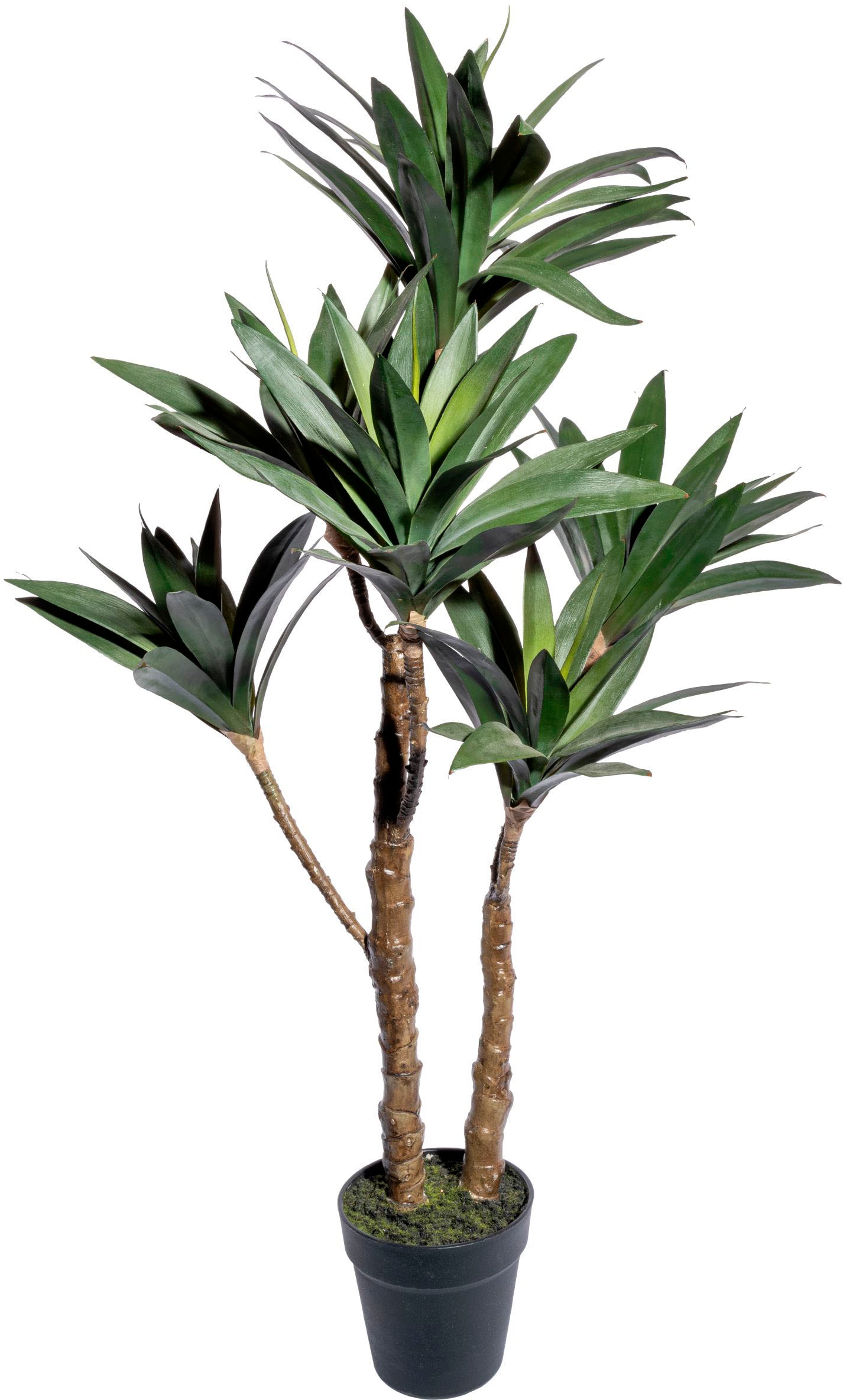 Creativ Zimmerpflanze »Yuccapflanze green im | Künstliche bestellen BAUR Topf«