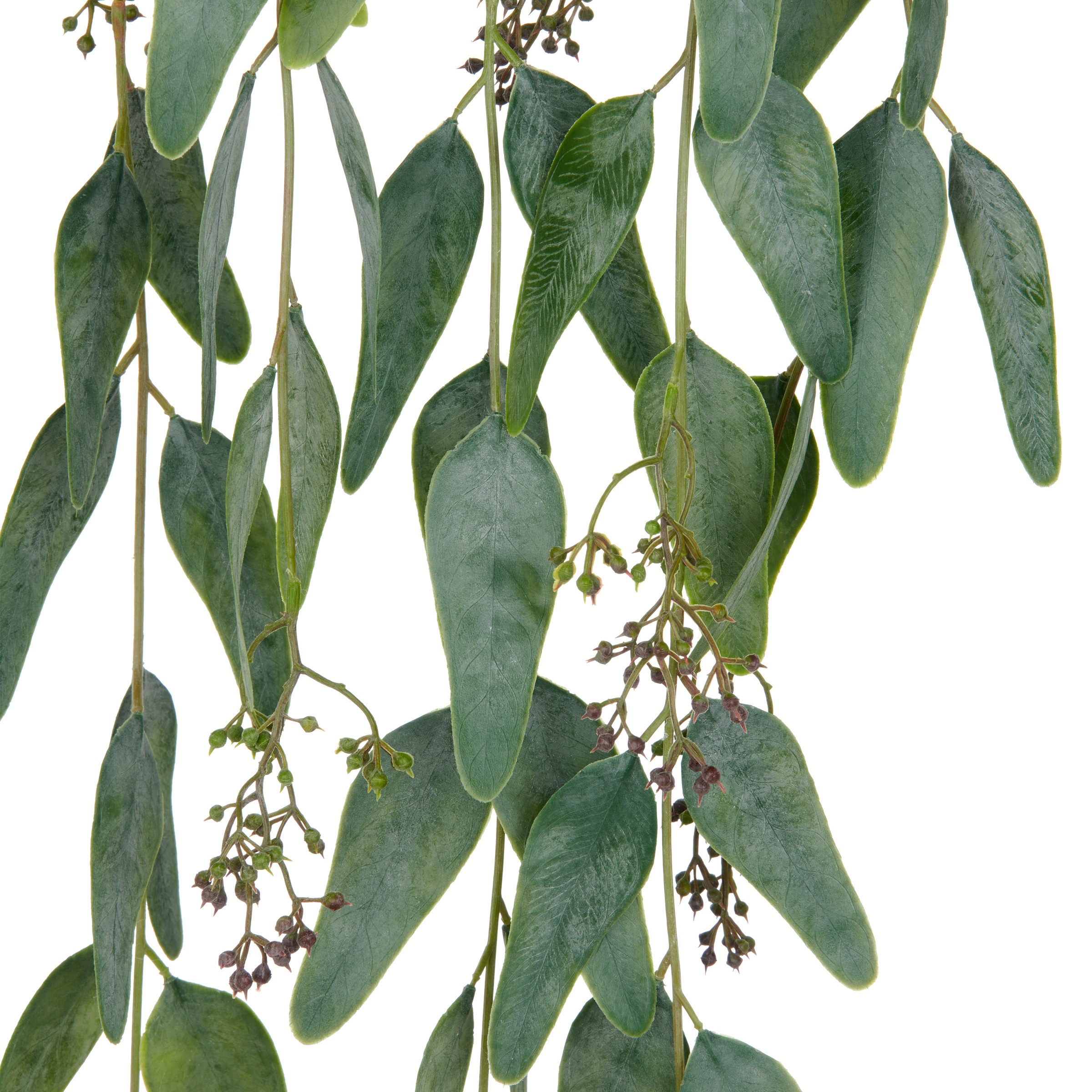 Creativ green Kunstranke »Eukalyptus«, mit Fruchtständen