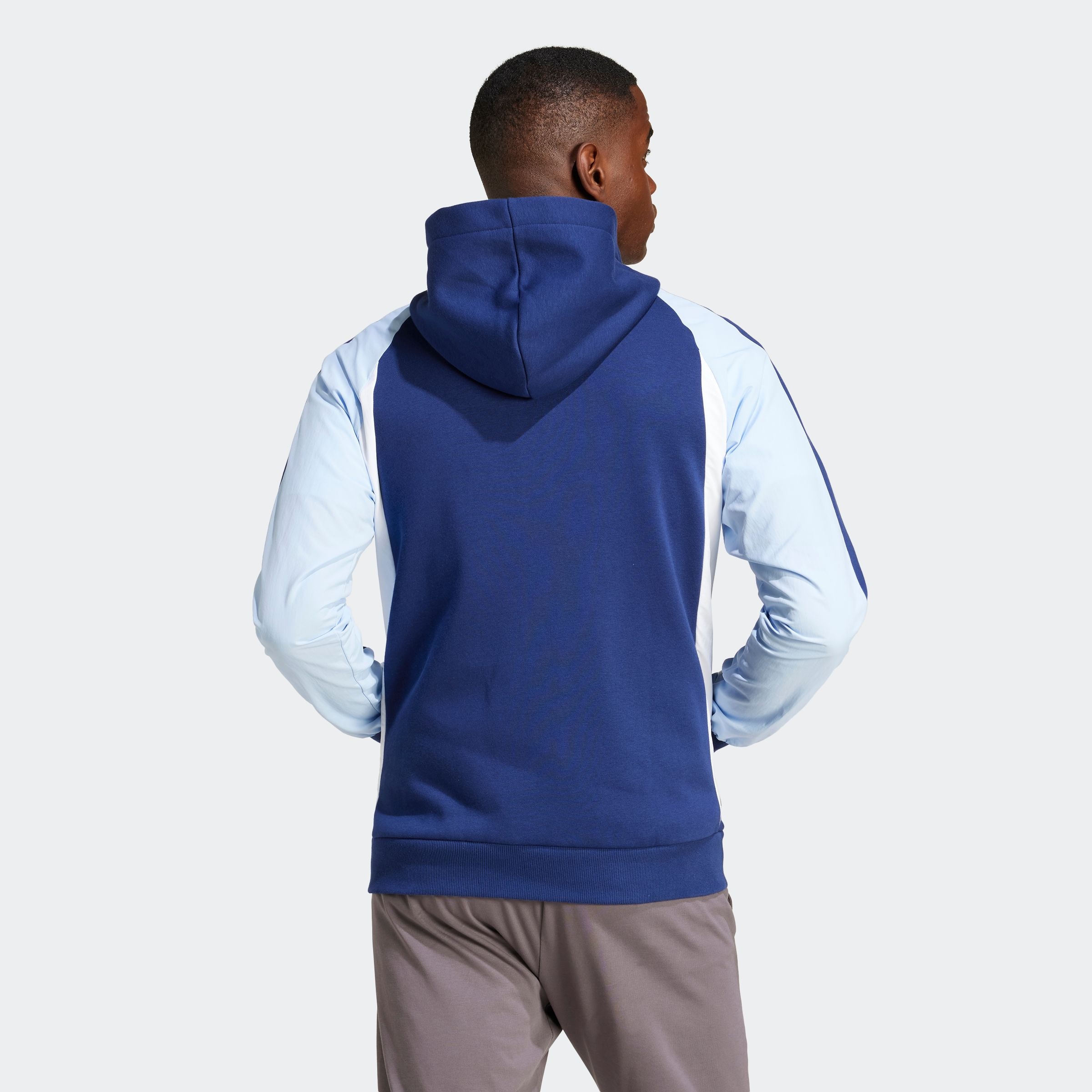 adidas Sportswear Kapuzensweatshirt "SEASONAL ESSENTIALS COLORBLOCK" günstig online kaufen