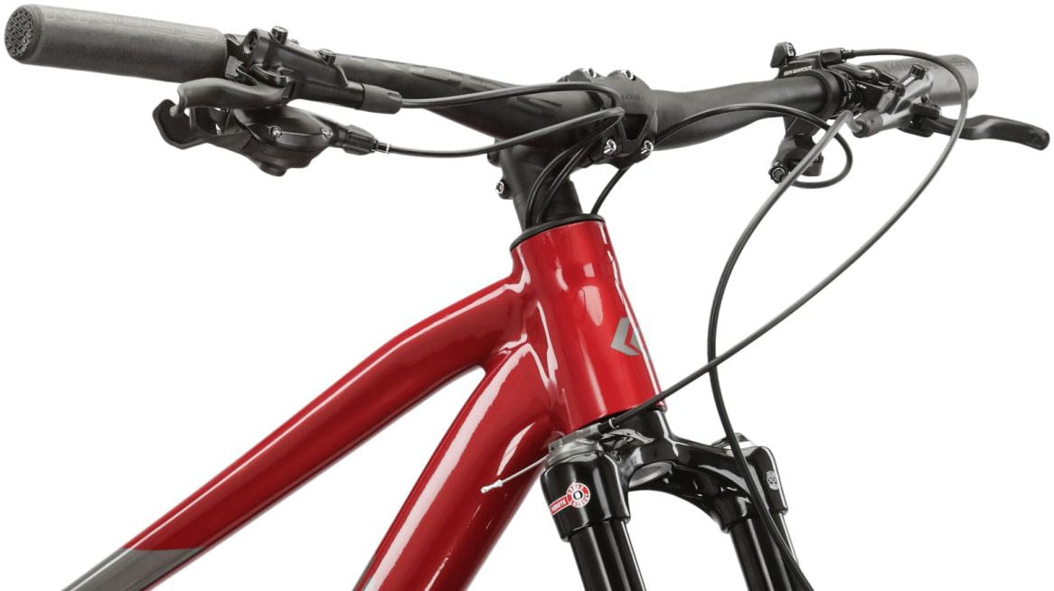 Kross Mountainbike »KROSS MTB Hardtail Level 6.0 29" rot 12 Gänge«, 12 Gang, SRAM, NX EAGLE Schaltwerk, Kettenschaltung