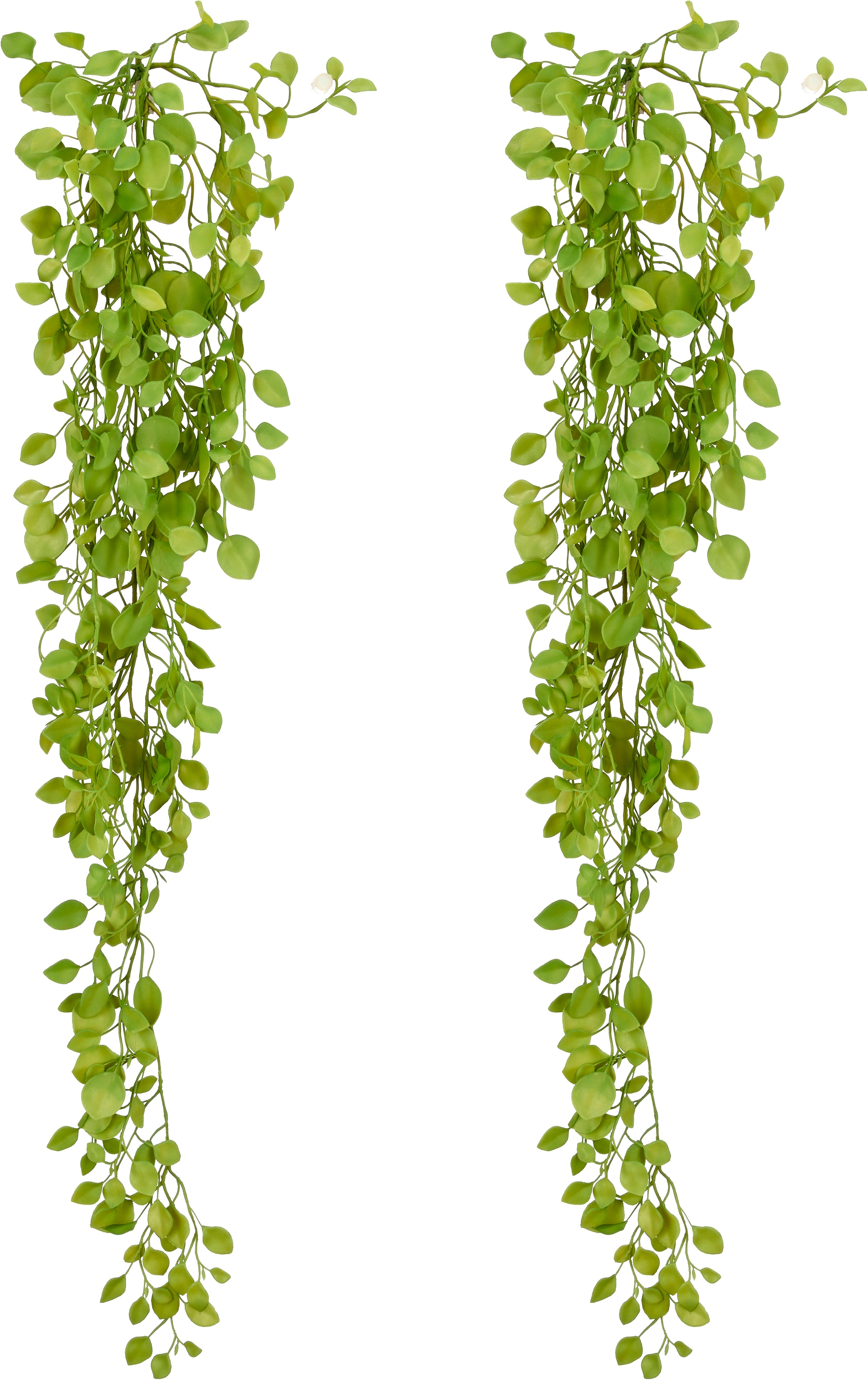 Creativ green Kunstranke "Dischidiahänger" mit schönem Blattwerk