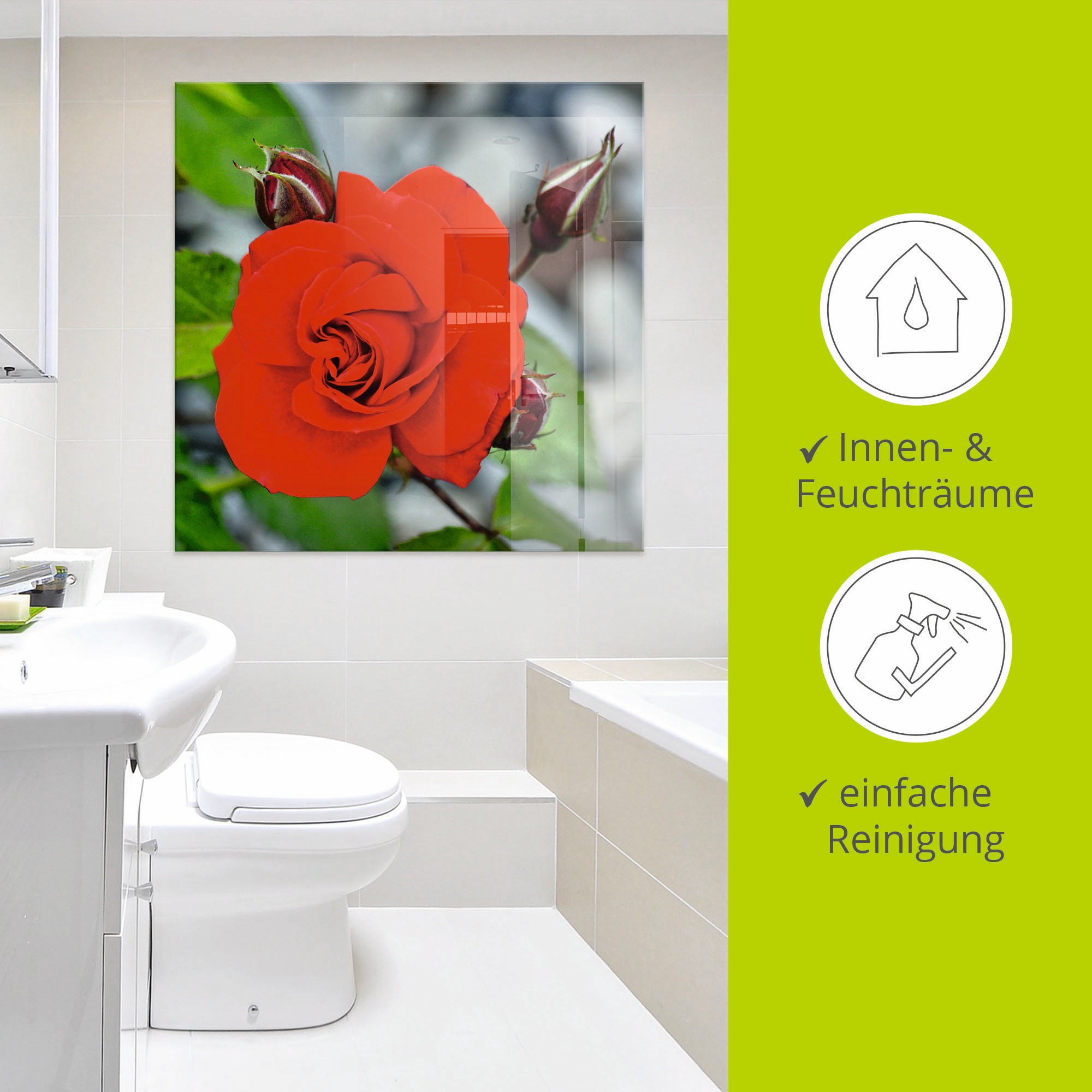 Artland Glasbild »Rote Rosenblüte mit Knospen«, Blumen, (1 St.), in verschiedenen Größen