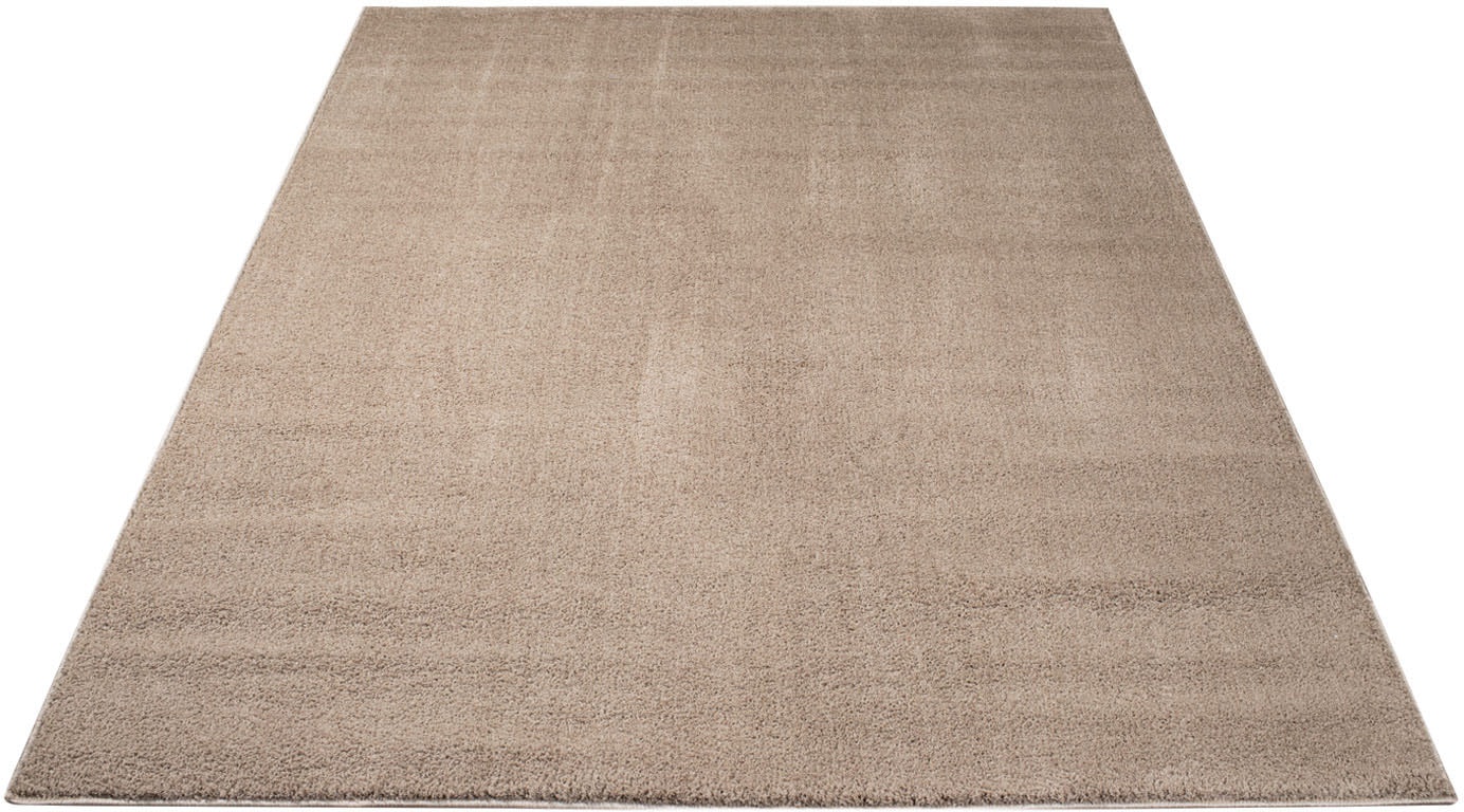 Carpet City Teppich »Softshine 2236«, rechteckig, 14 mm Höhe, Läufer, Hochflor, besonders weich, robust, Uni, Wohnzimmer