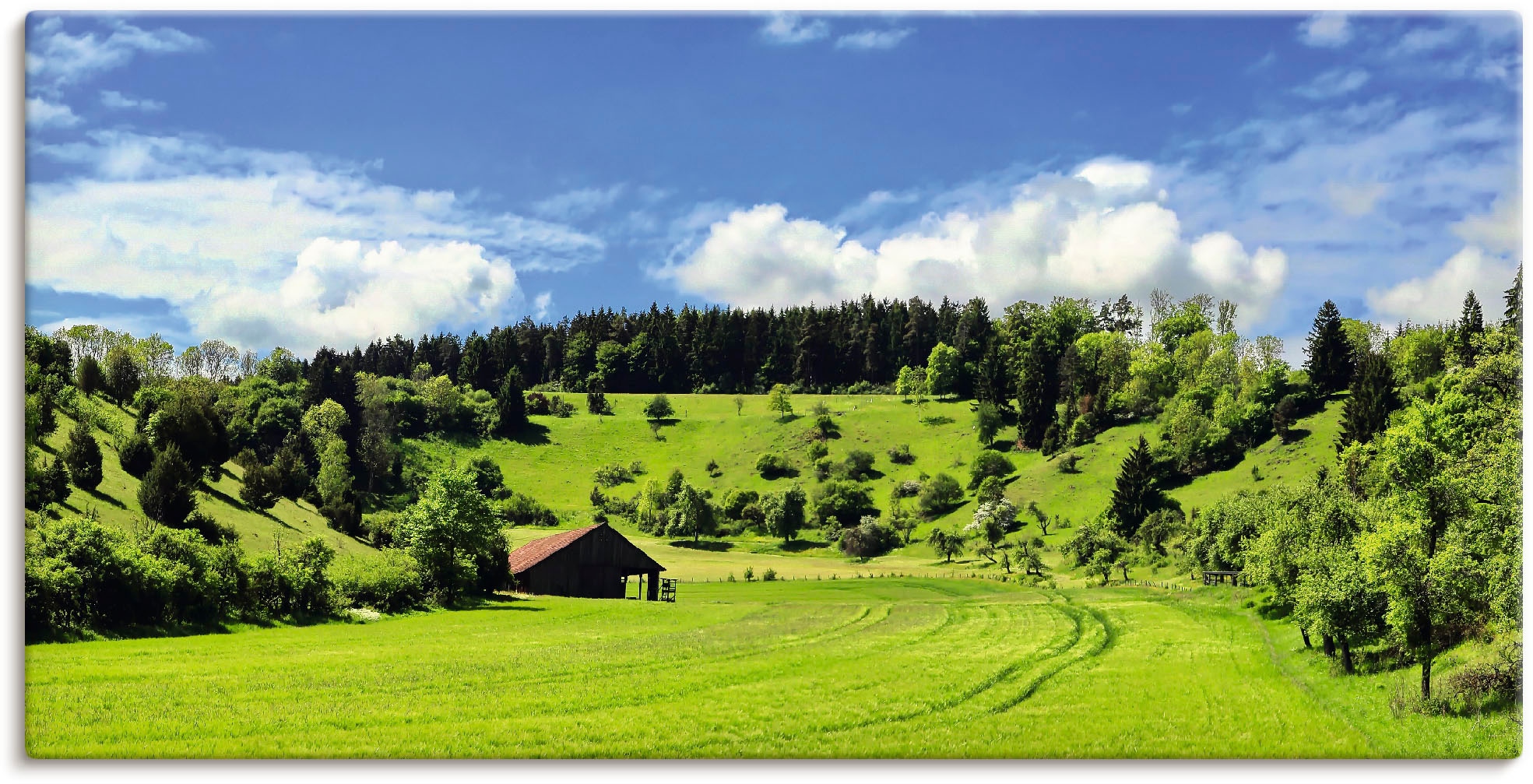 Artland Wandbild "Traumhafte Landschaft im Schwarzwald", Wiesen & Baumbilder, (1 St.), als Alubild, Outdoorbild, Leinwan