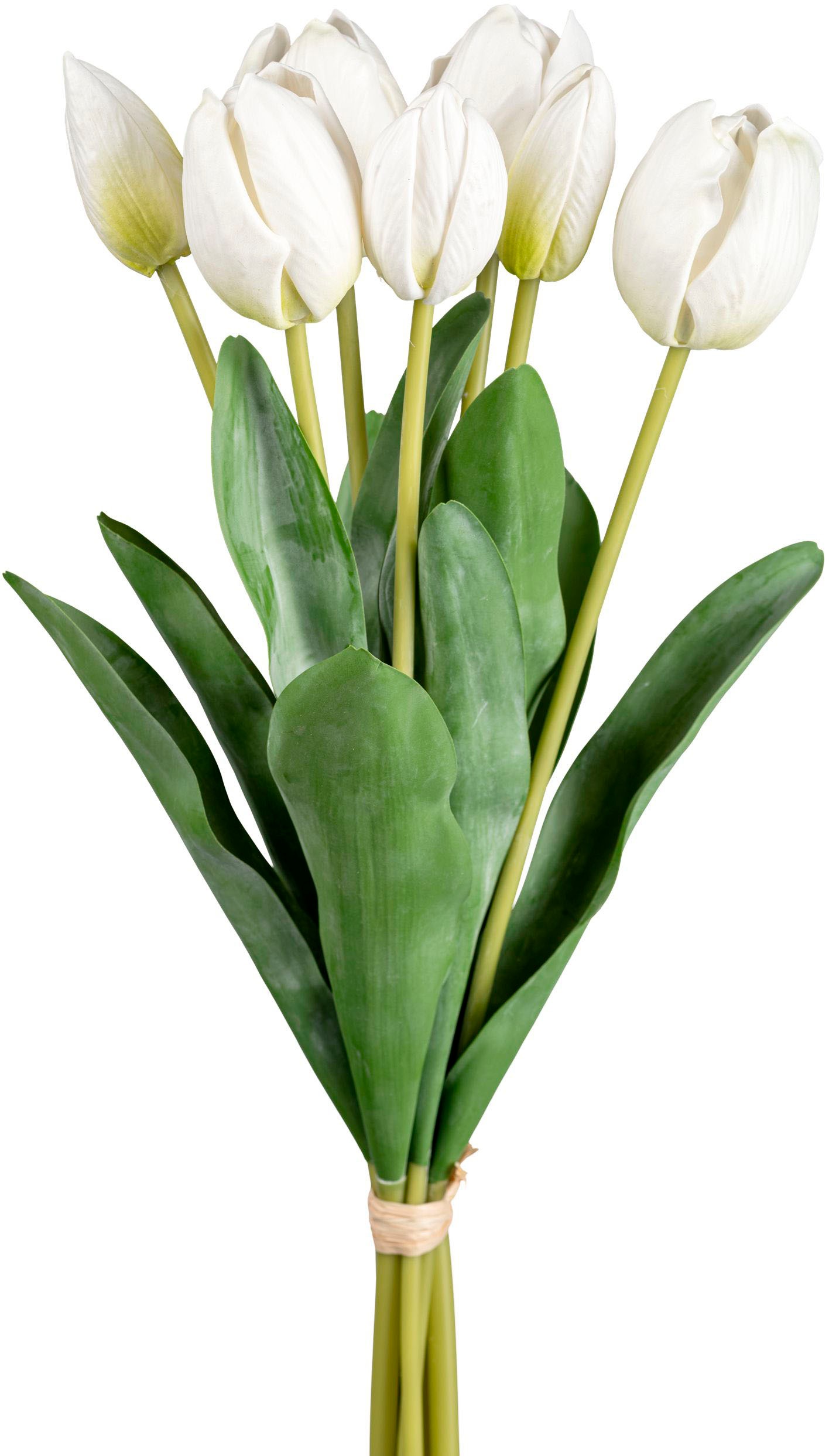 my home Kunsttulpe »Tulpenbund«, (1 St.) kaufen