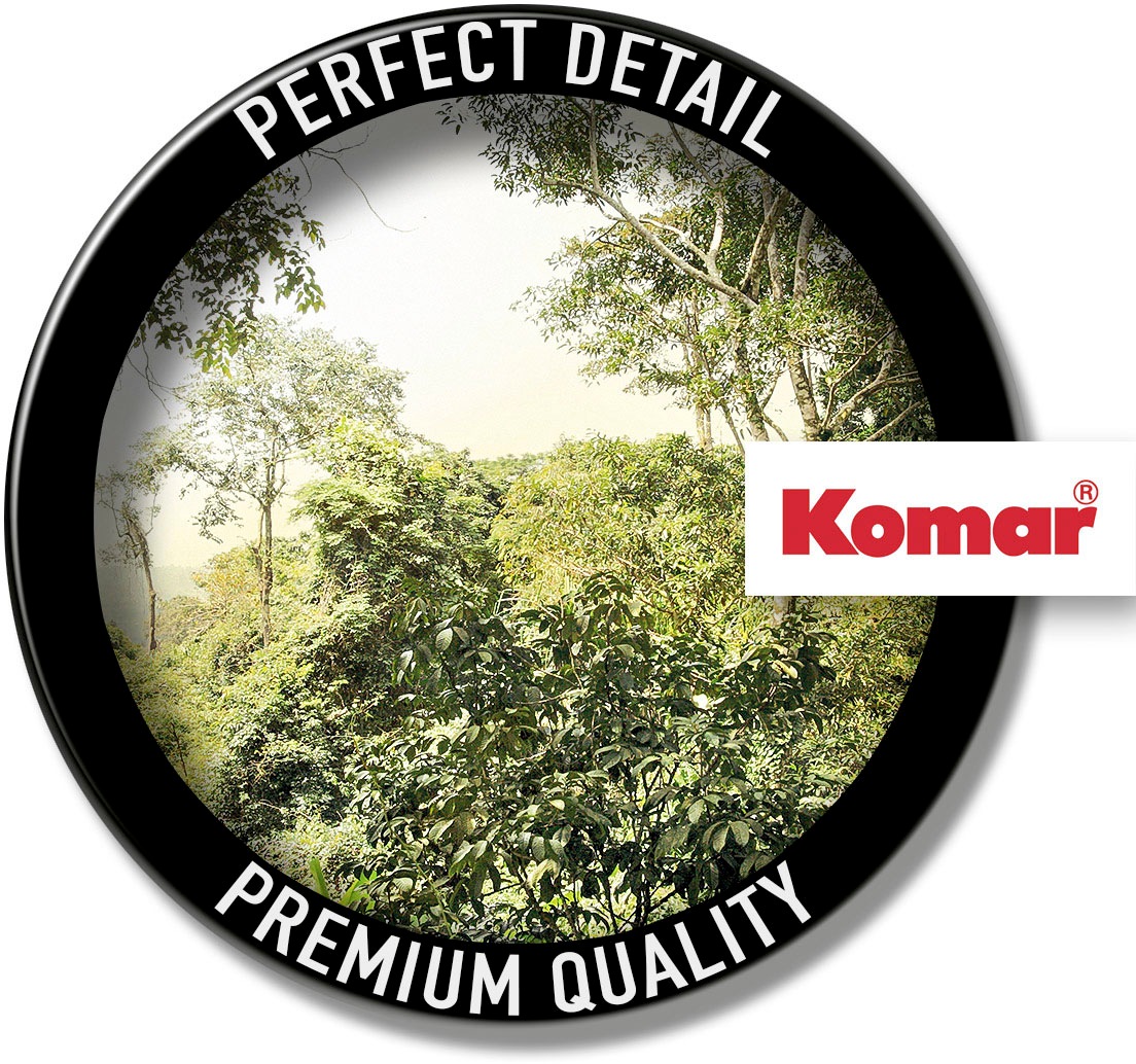 Komar Vliestapete »Digitaldruck Vlies - Dschungel - Größe 400 x 260 cm«, bedruckt, Wohnzimmer, Schlafzimmer