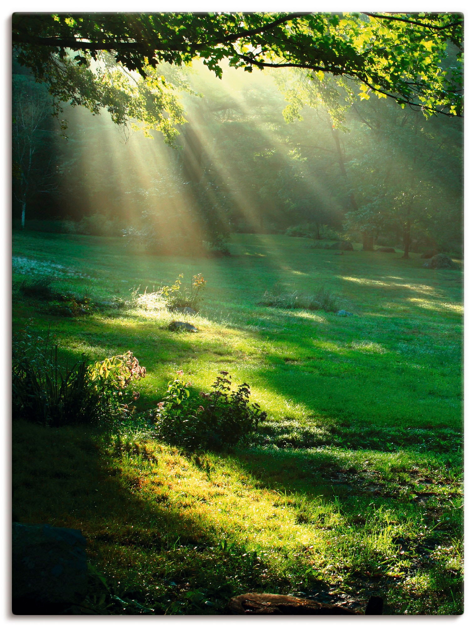 Artland Wandbild "Lichtkegel" Wald 1 Stk. tlg. als Alubild, Outdoorbild, Le günstig online kaufen