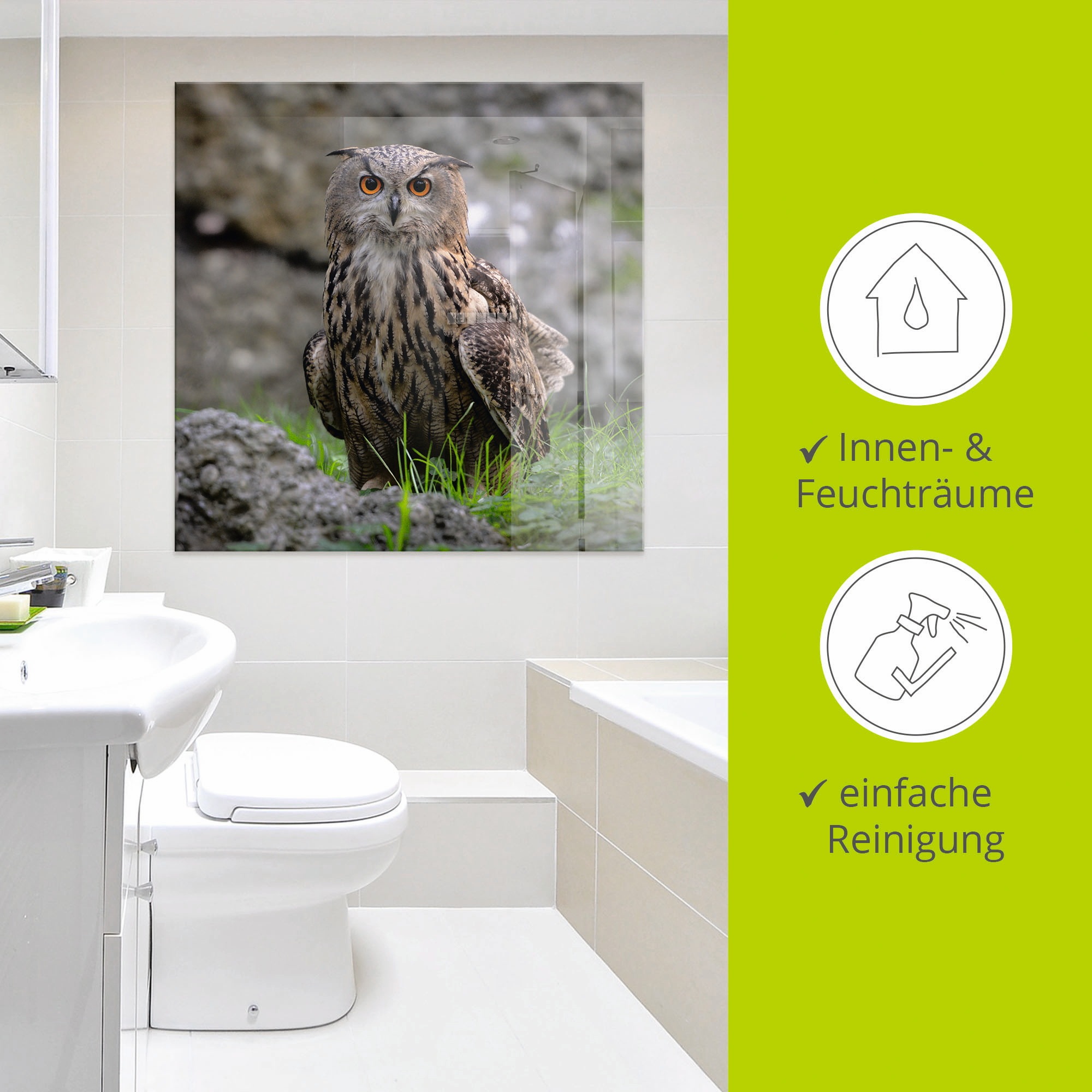 Artland Glasbild »Uhu«, Vögel, (1 St.), in verschiedenen Größen