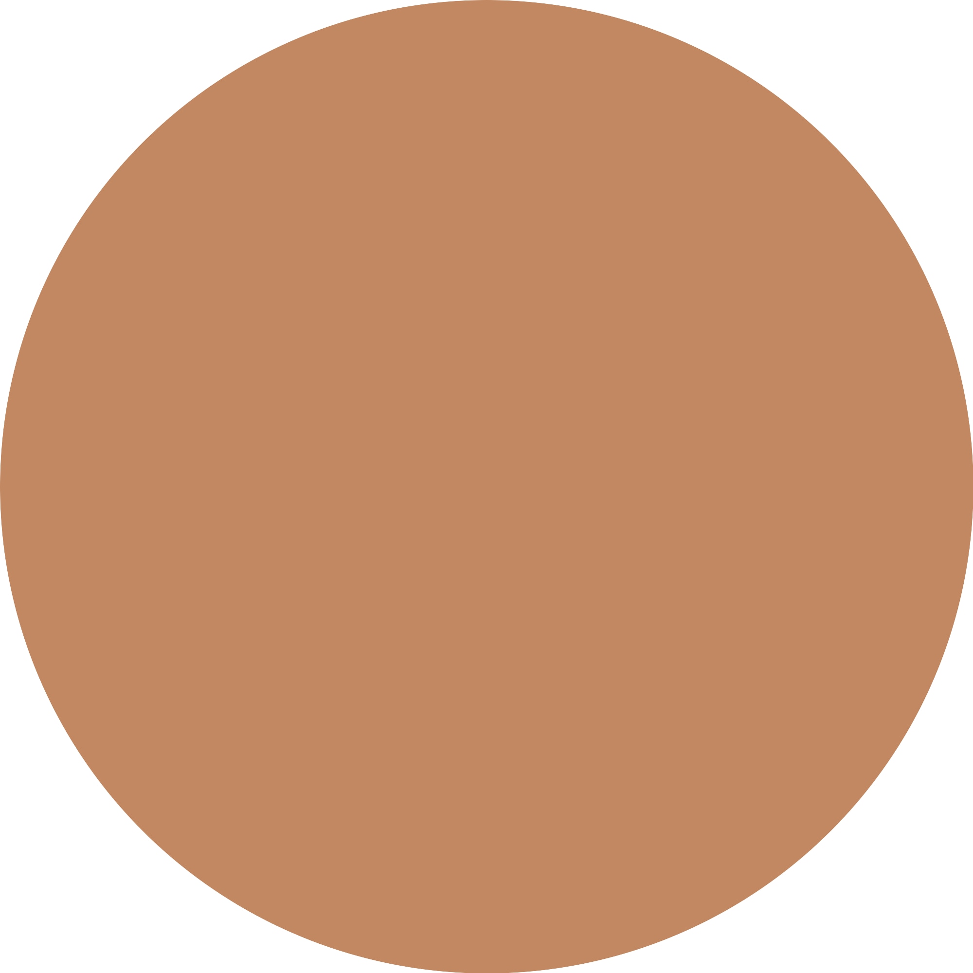 Catrice Foundation »Skin Like Luminous Foundation«