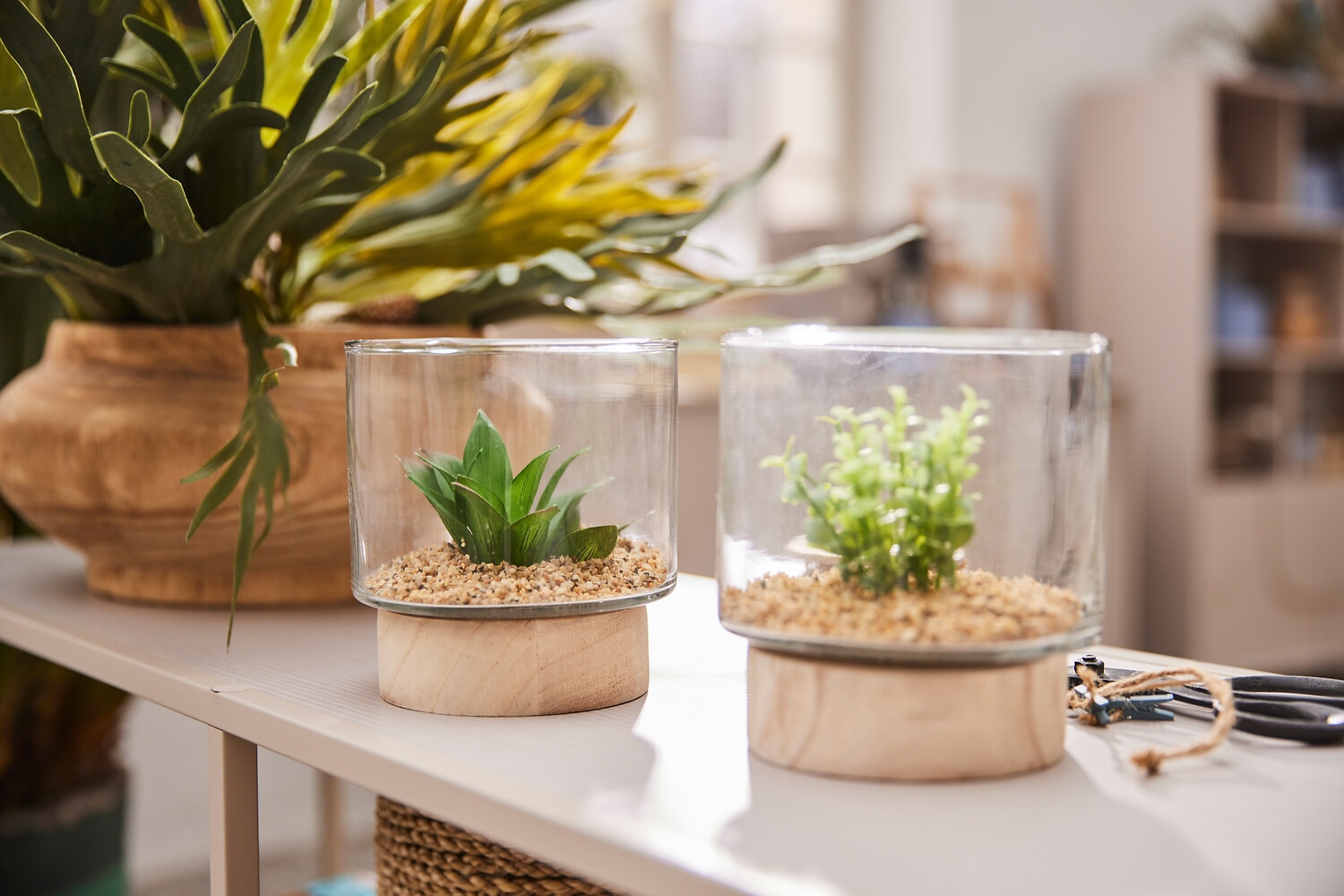 Creativ green Kunstpflanze »Sukkulenten im Glasgefäß« mit 2 verschiedenen Sukkulenten