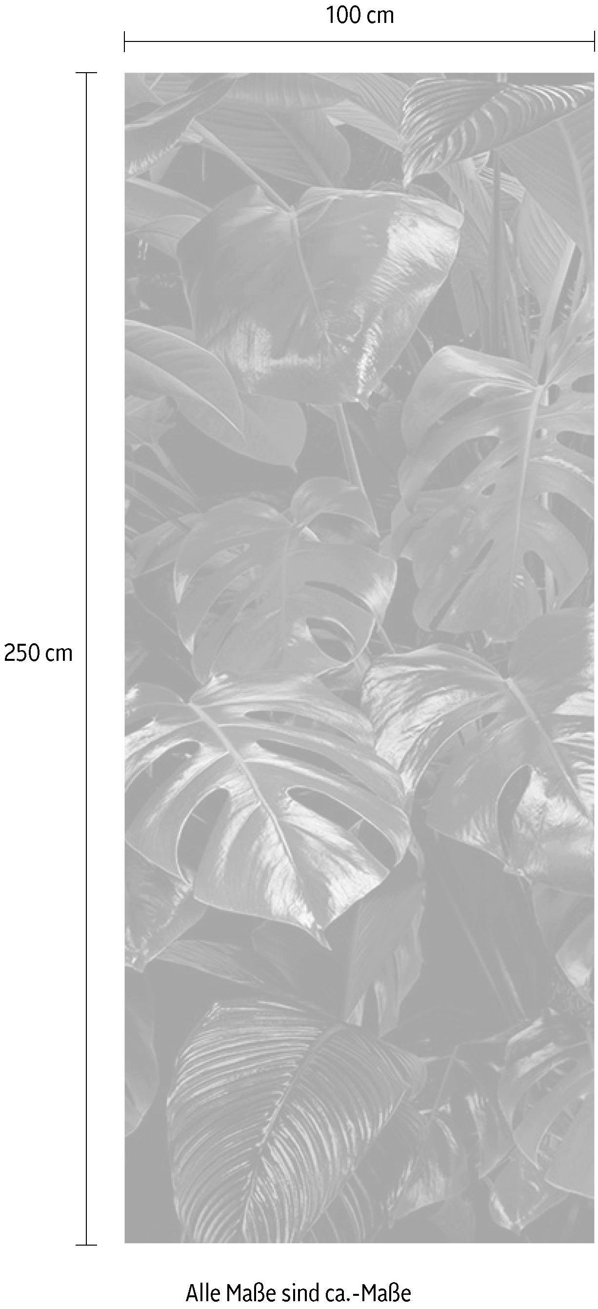 Komar Vliestapete »Digitaldruck Vlies - Tropical Wall Panel - Größe 100 x 250 cm«, bedruckt, Wohnzimmer, Schlafzimmer