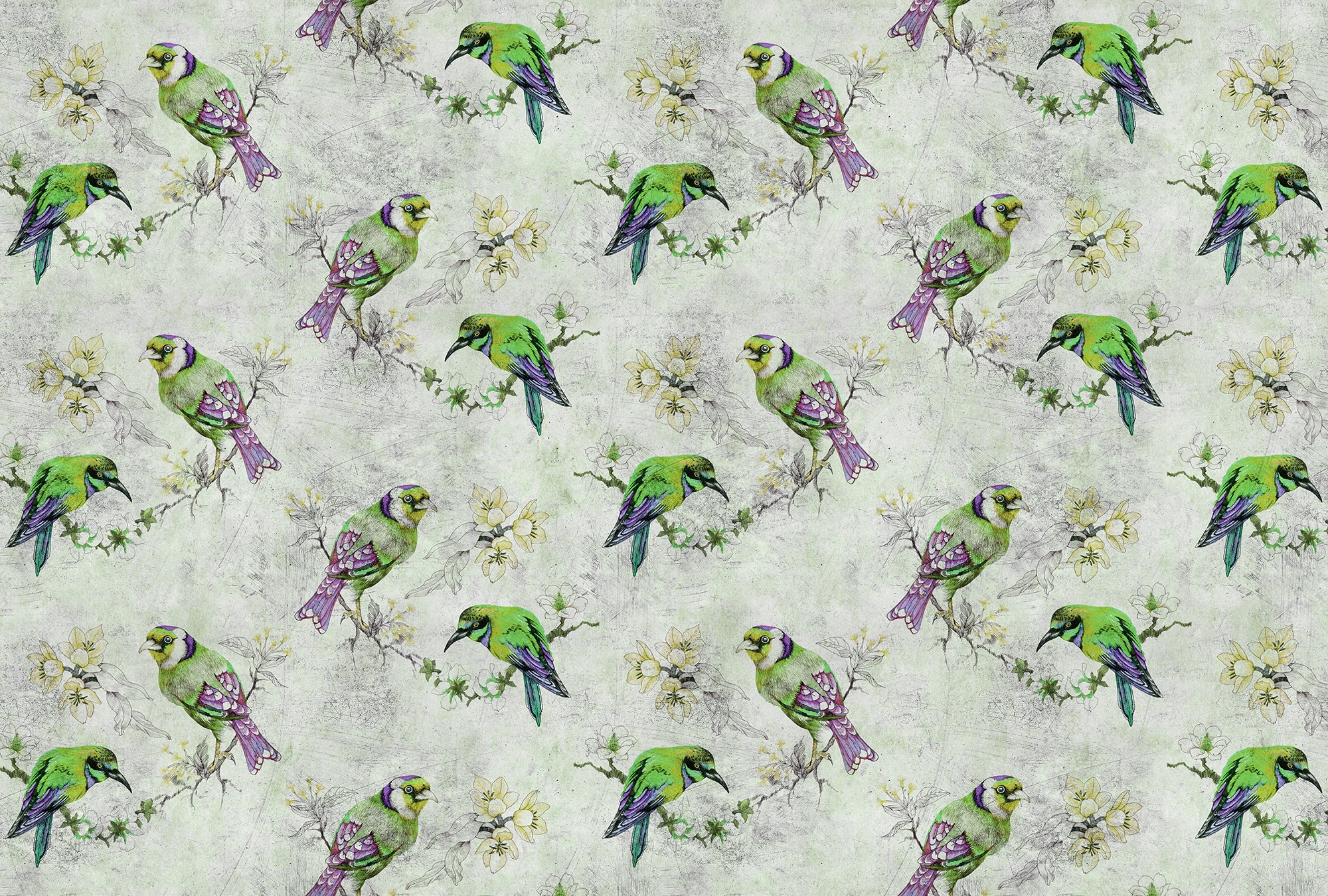 living walls Fototapete "Walls by Patel Love Birds 2" glatt Vlies, Wand, Schräge