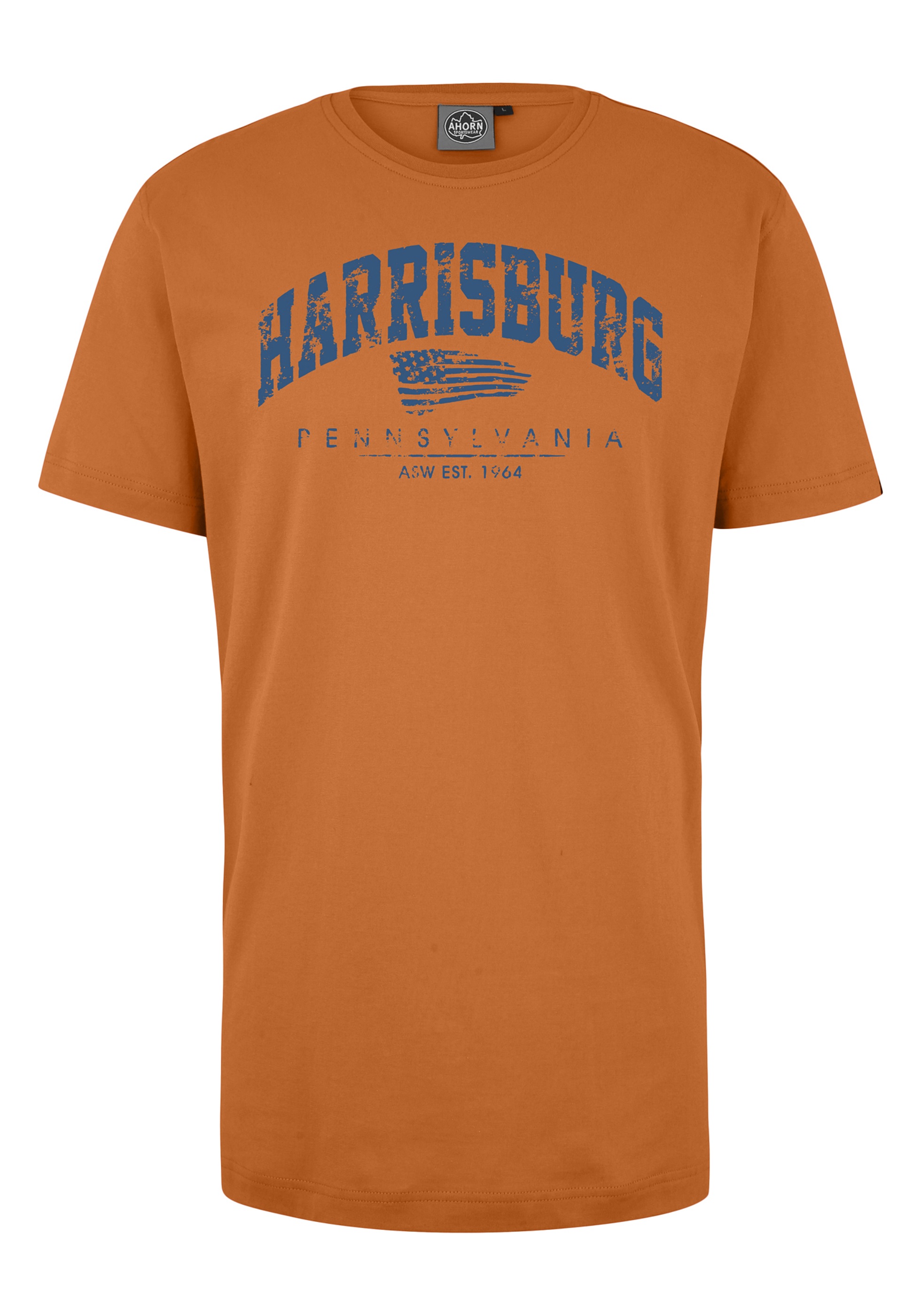 AHORN SPORTSWEAR T-Shirt »HARRISBURG_ATLANTIC BLUE«, mit modischem Frontprint