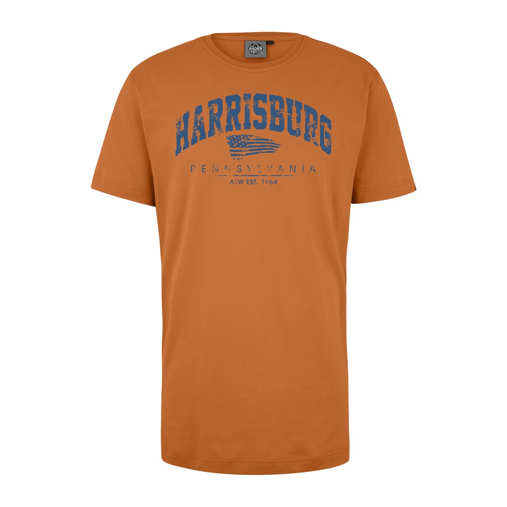 AHORN SPORTSWEAR T-Shirt »HARRISBURG_ATLANTIC BLUE«