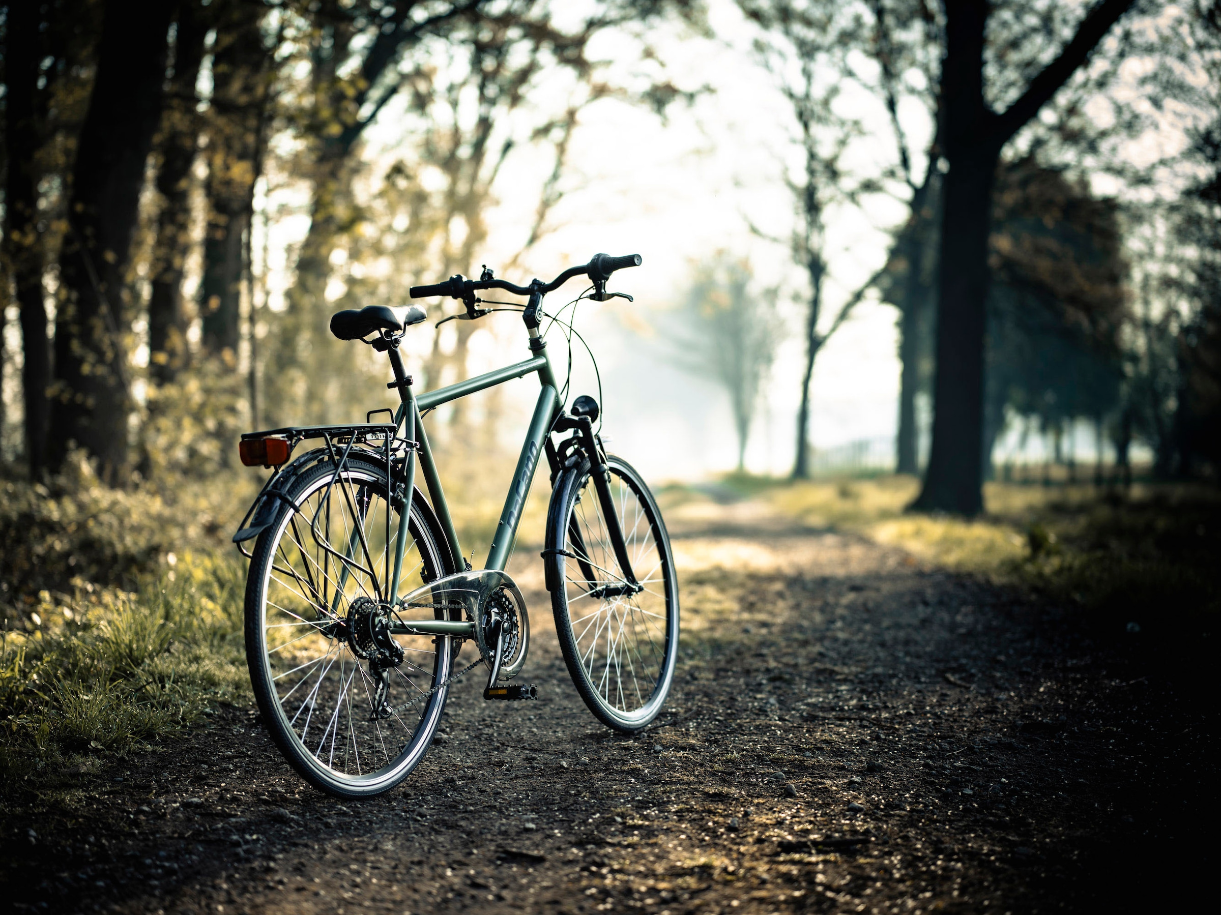 Dacapo Trekkingrad »Trekkingrad Herren 28'' Montreal Olivgrün 21 Gänge RH 58 cm«, 21 Gang, Kettenschaltung
