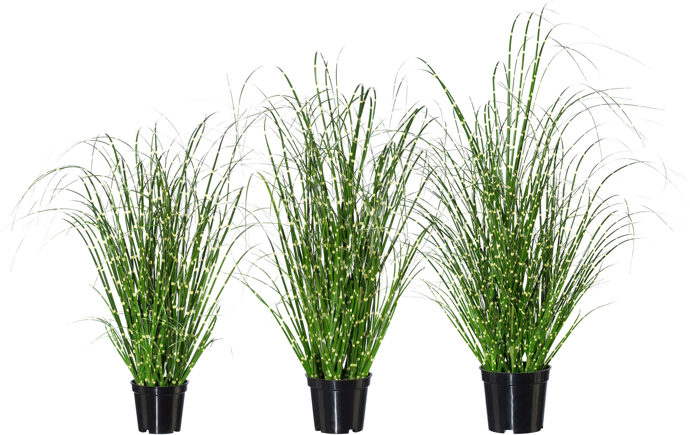 Creativ green Kunstgras "Miscanthus" günstig online kaufen