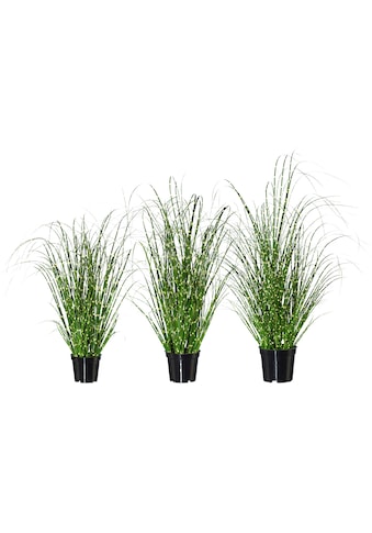 Creativ green Kunstgras »Miscanthus«