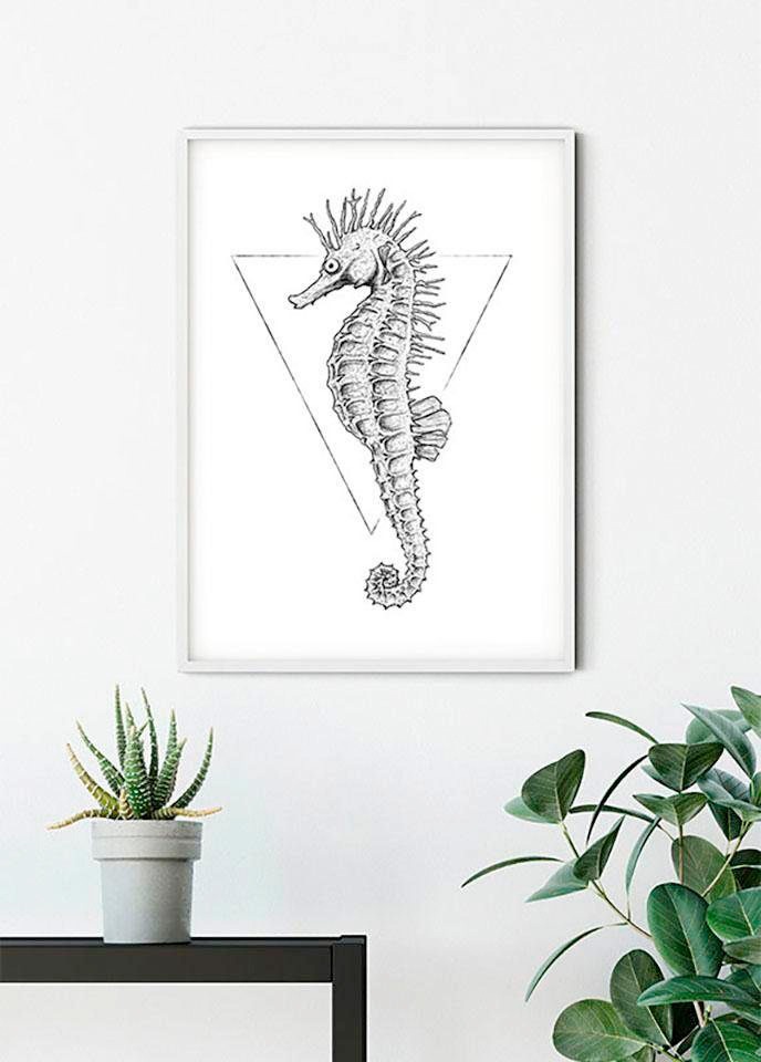 Bild KOMAR "Sea Horse White", silber (farbe bild(er): silberfarben), B:30cm H:40cm, Holz, Papier, Bilder, Bild, Wandbild zur Dekoration - ohne Rahmen 2