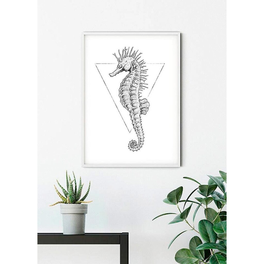 Komar Poster »Sea Horse White«, Tiere, (1 St.)