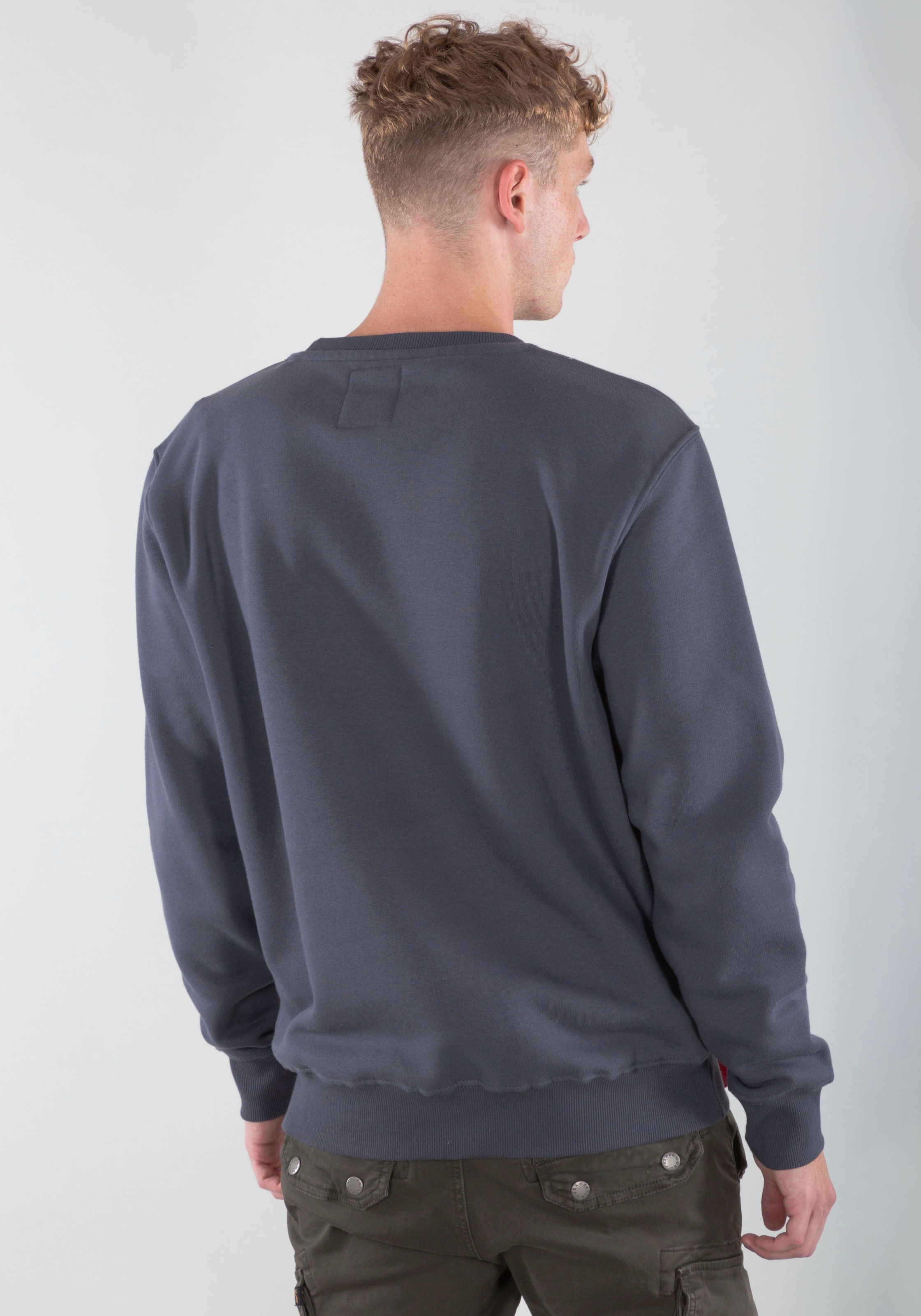 Alpha Industries Sweatshirt "Basic Sweater small Logo" günstig online kaufen