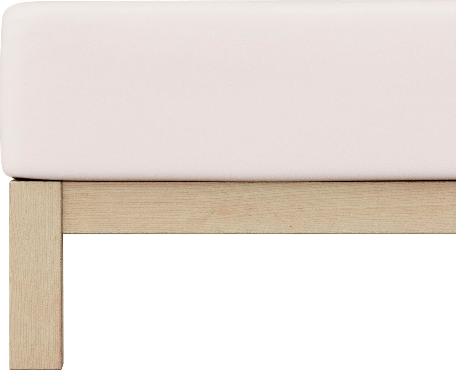 Schlafgut Spannbettlaken "PURE Bio-Baumwolle mit Elasthan, dehnbar blickdic günstig online kaufen