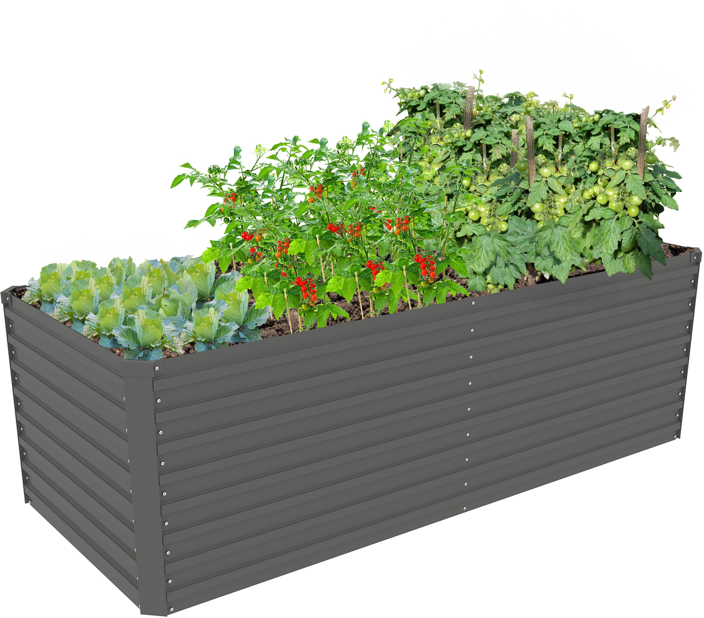 KONIFERA Hochbeet "Emmy, bodenloses Gartenbeet aus verzinktem Stahl", mit V günstig online kaufen