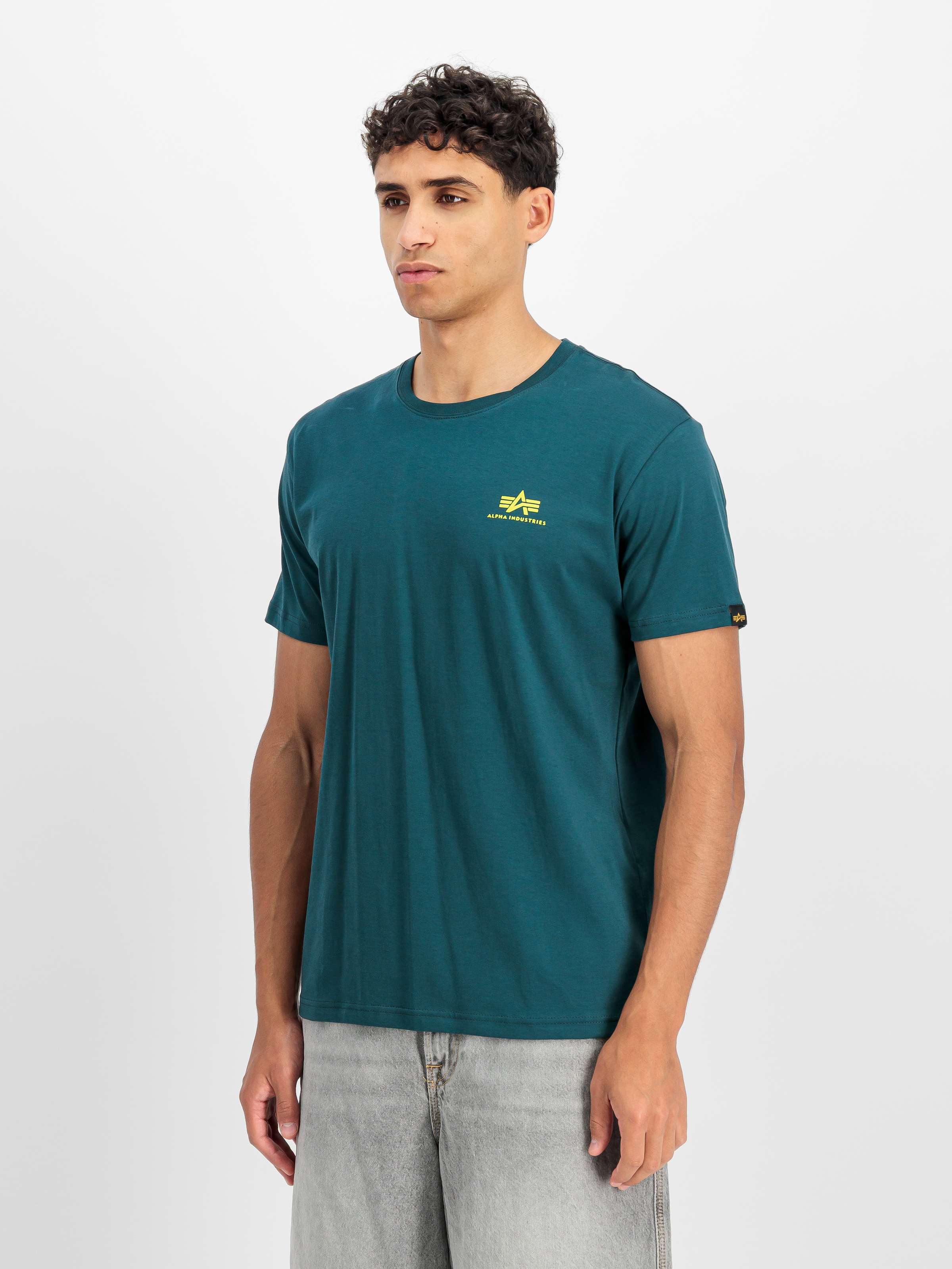Alpha Industries Rundhalsshirt "Backprint T" Baumwolle, regular fit