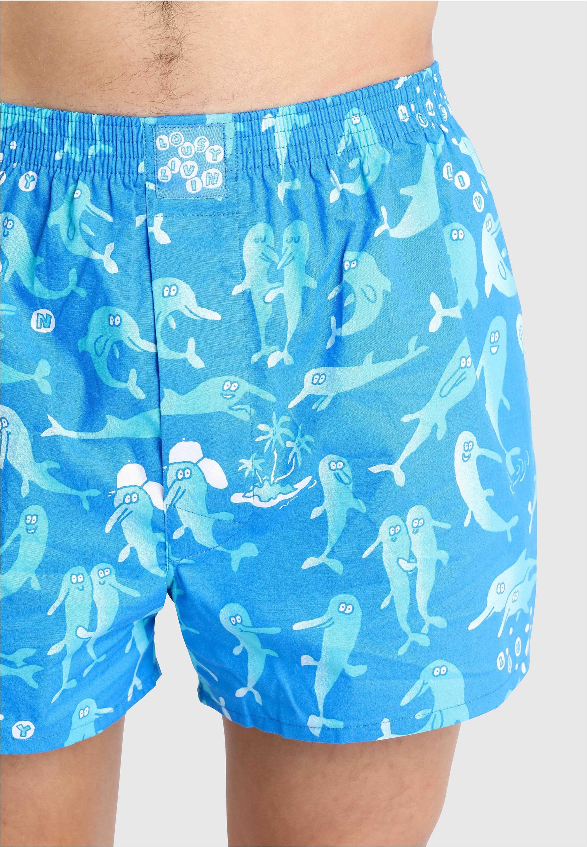 Lousy Livin Boxershorts »Sky Gym & Dolphin 2 Pack«, mit buntem Allover-Print